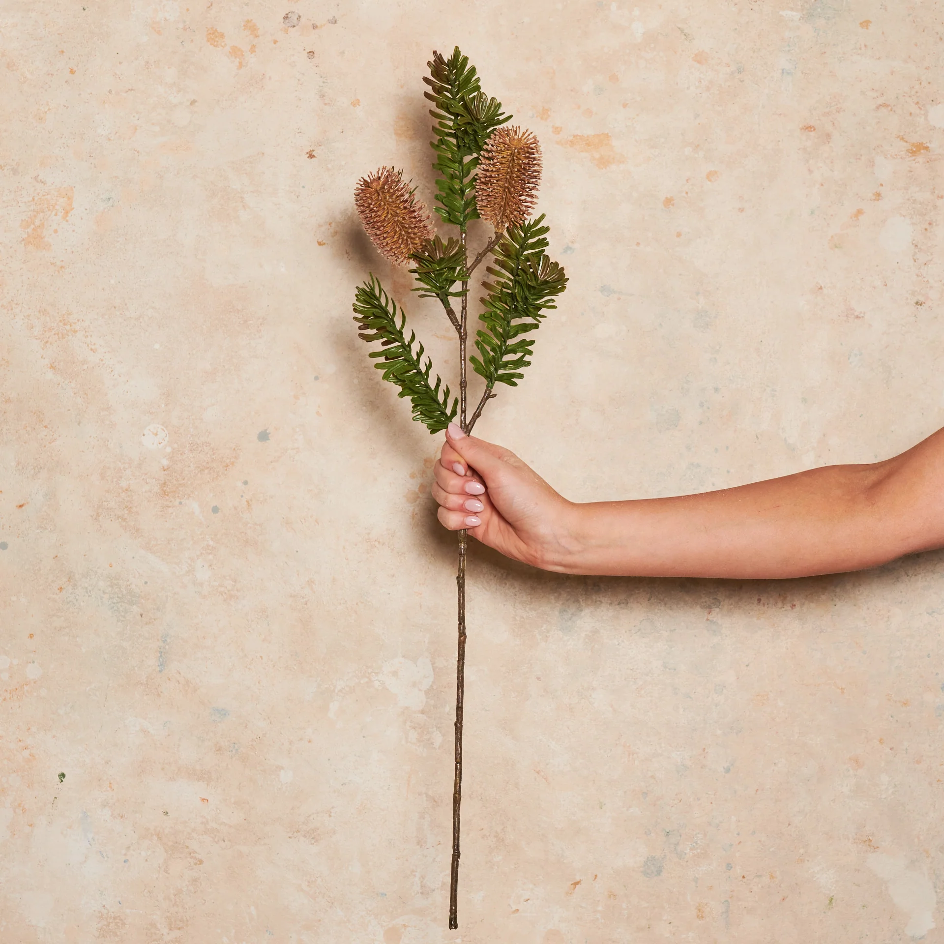 Banksia Spray Real Touch Flower Stem - Image 7