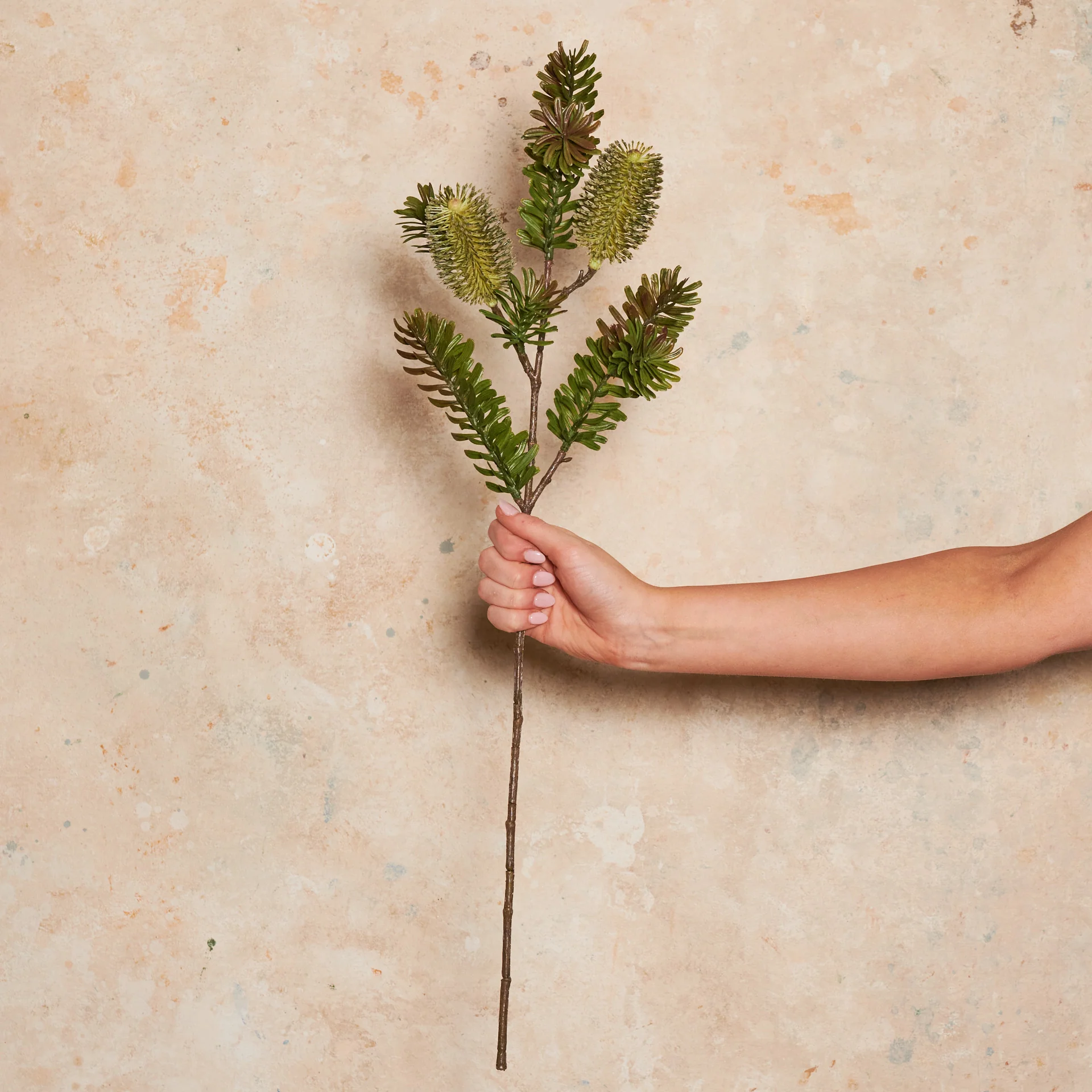 Banksia Spray Real Touch Flower Stem - Image 9