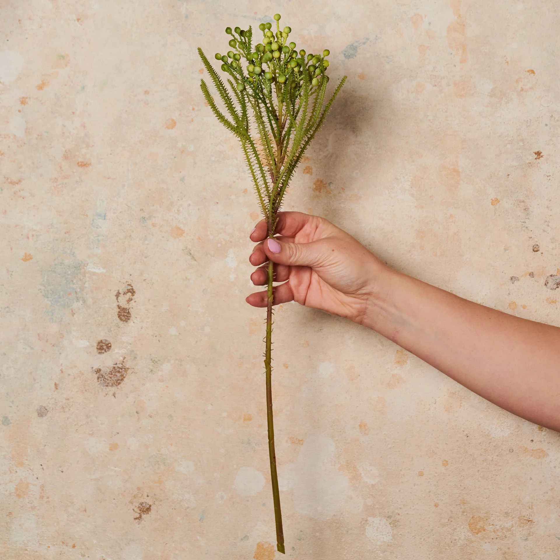 Berzelia Spray Green Real Touch Flower Stem - Image 2
