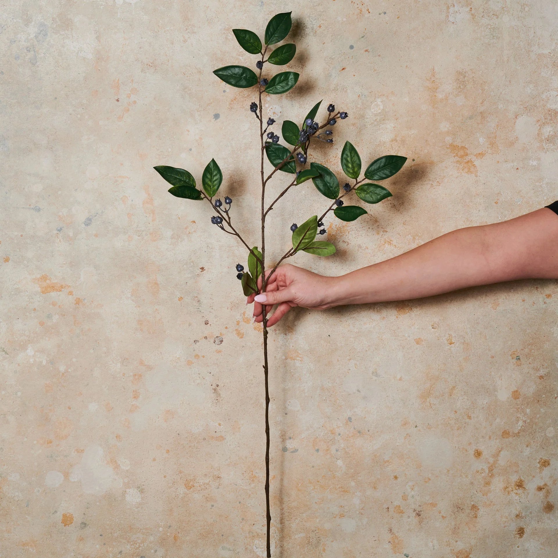 Blueberry Real Touch Flower Stem - Image 2