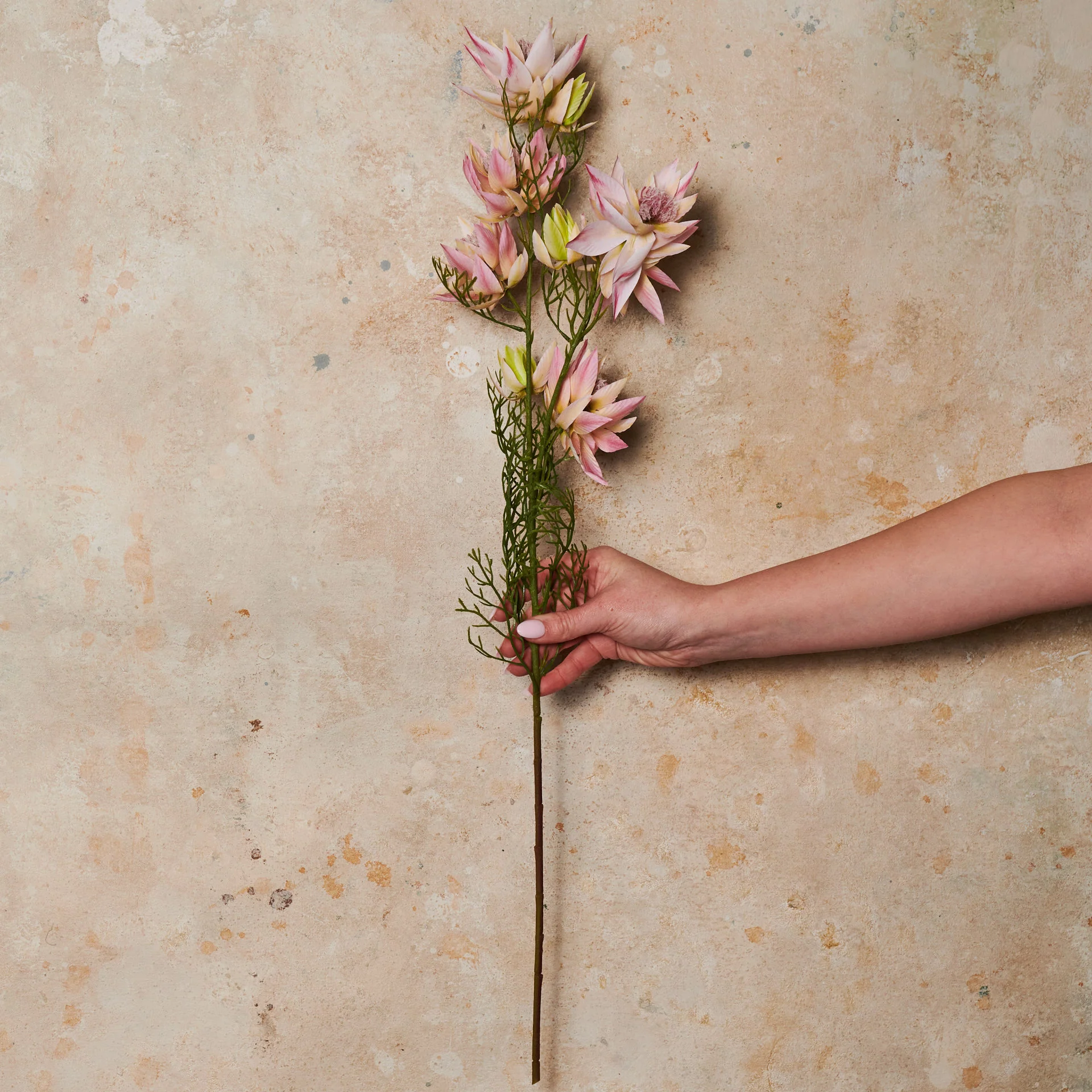 Blushing Bride Spray Flower Stem - Image 2