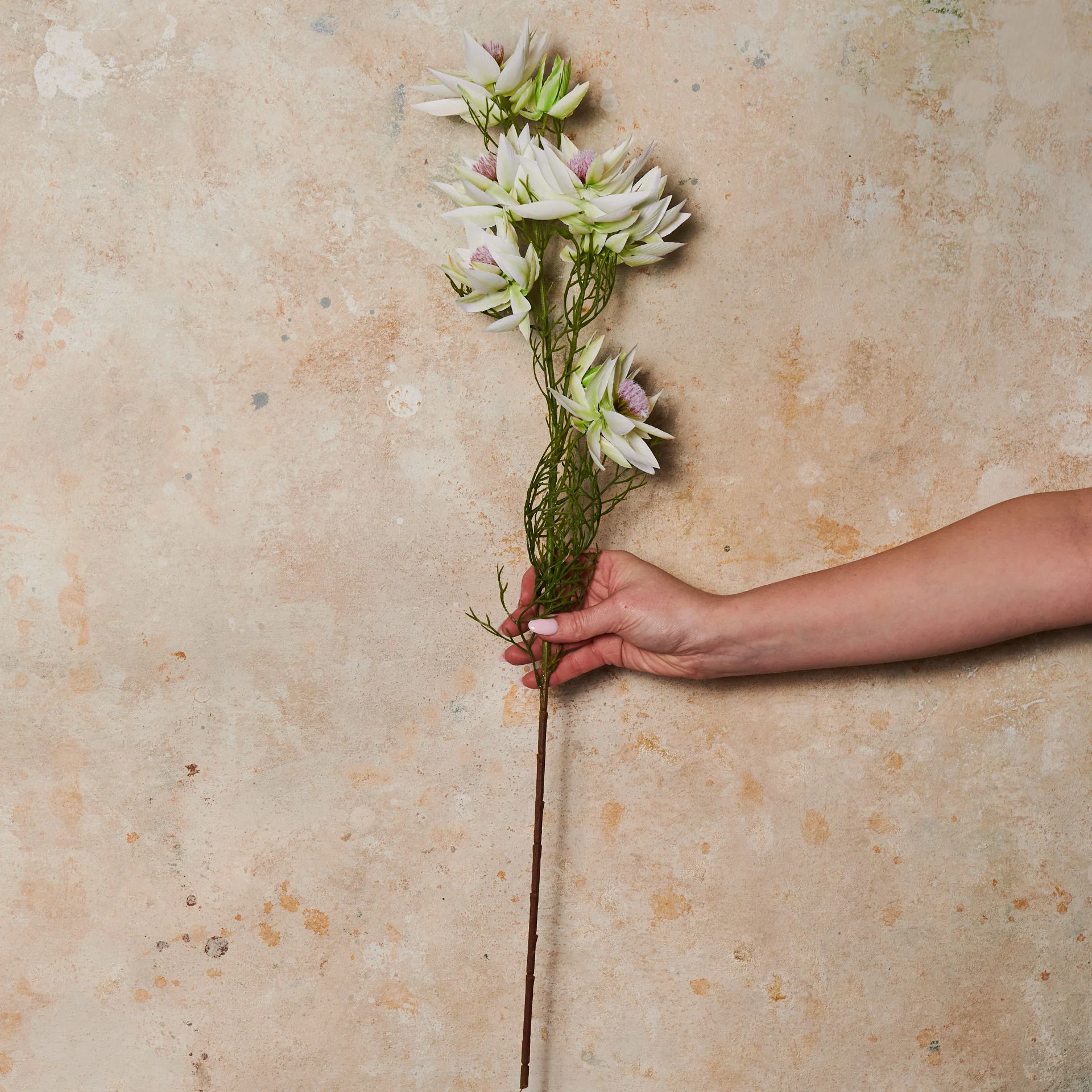 Blushing Bride Spray Flower Stem - Image 3