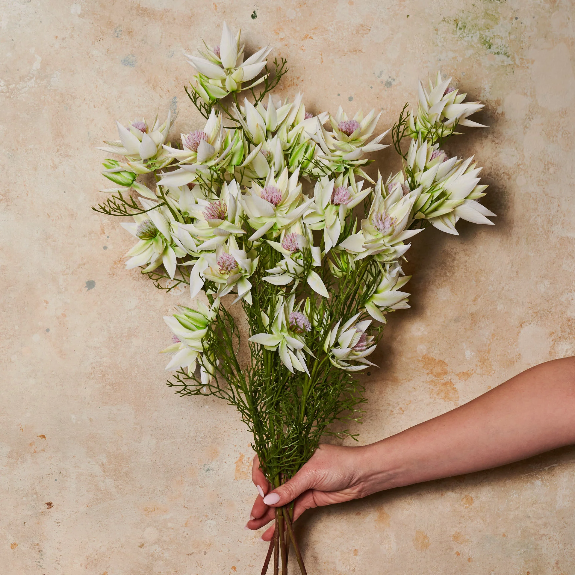 Blushing Bride Spray Flower Stem - Image 4