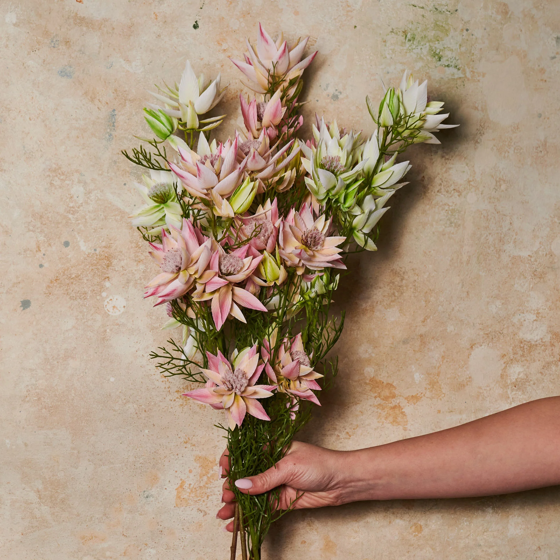 Blushing Bride Spray Flower Stem - Image 5