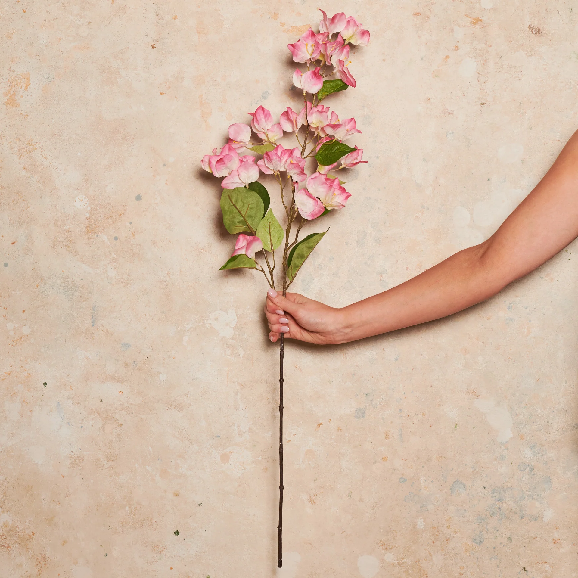 Bougainvillea Real Touch Flower Stem - Image 7