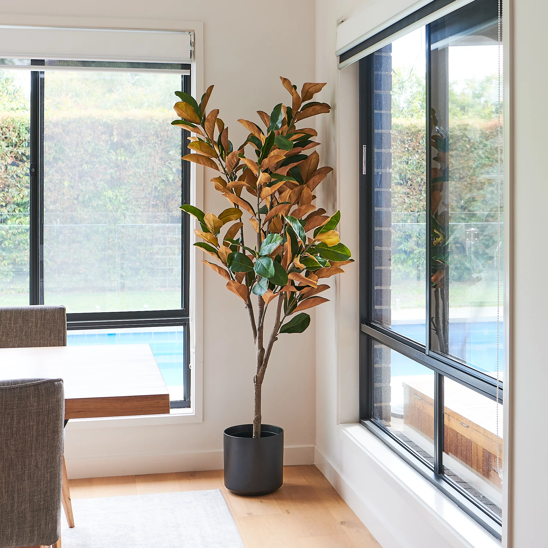 Brielle Magnolia Tree - Image 5
