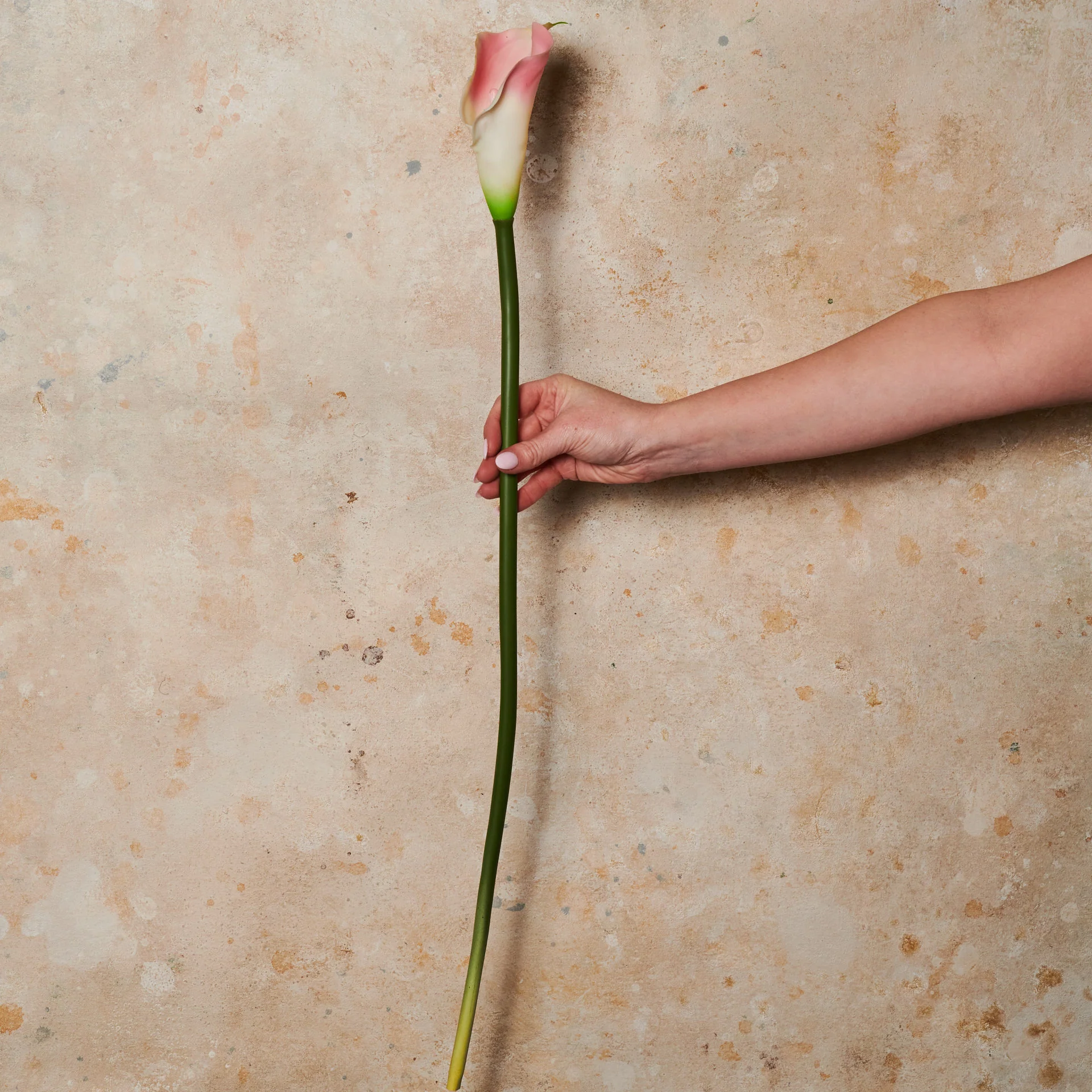 Calla Lily Real Touch Flower Stem - Image 10