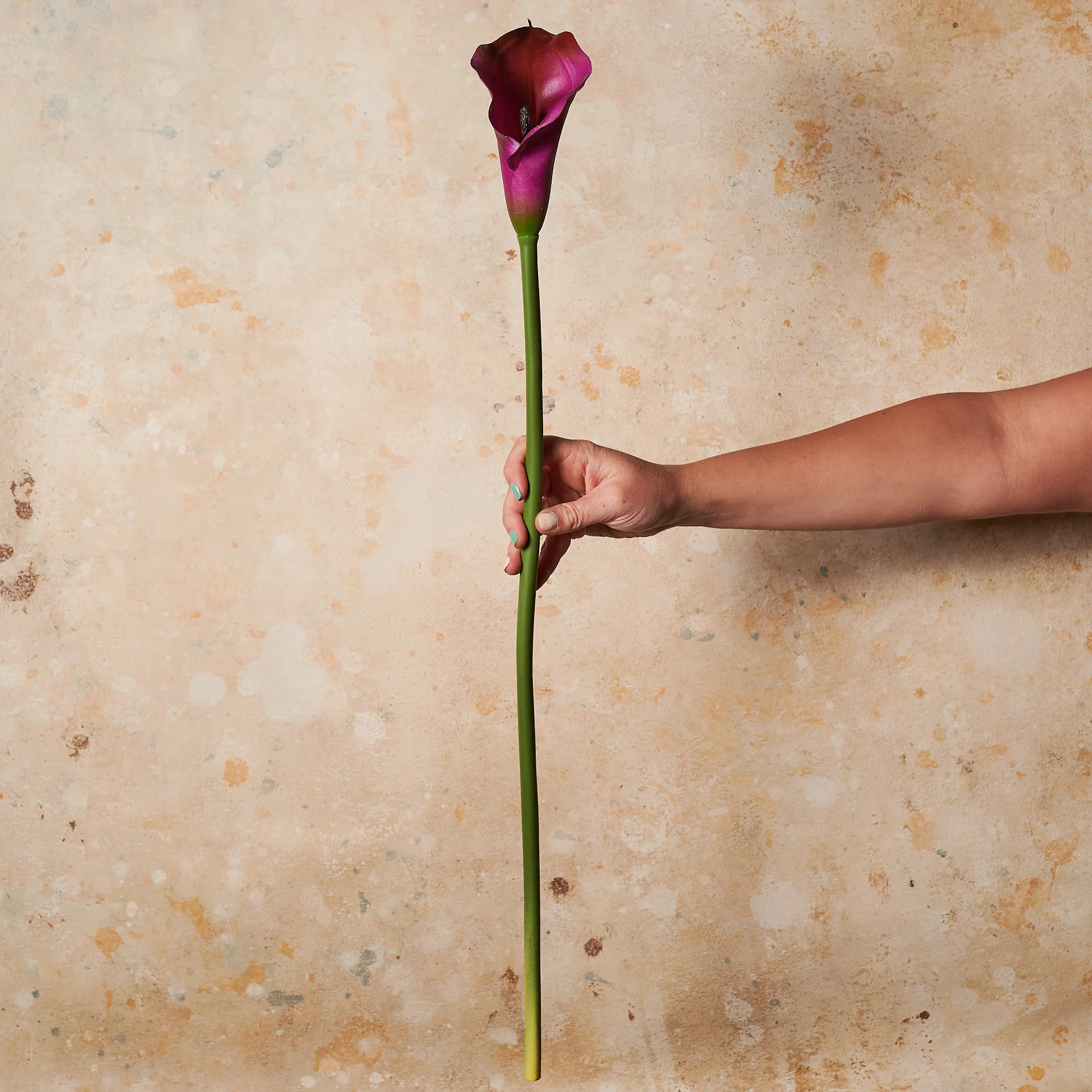 Calla Lily Real Touch Flower Stem - Image 7