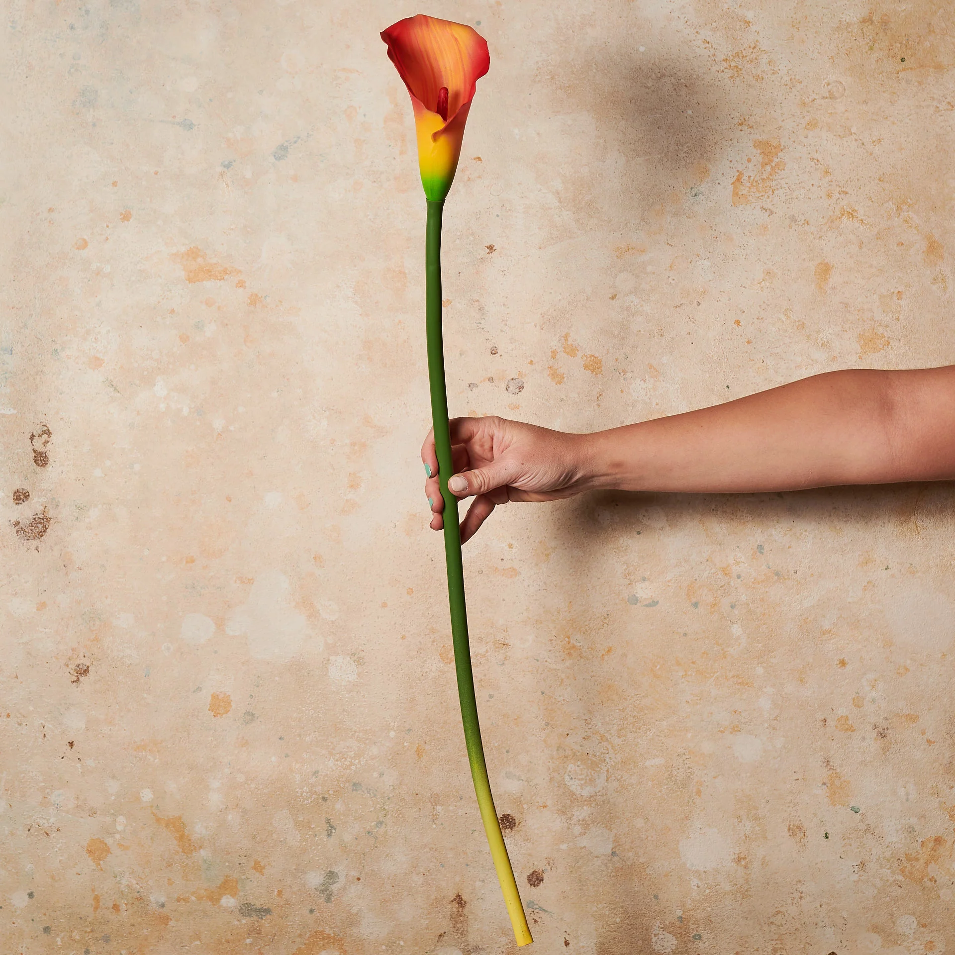 Calla Lily Real Touch Flower Stem - Image 8