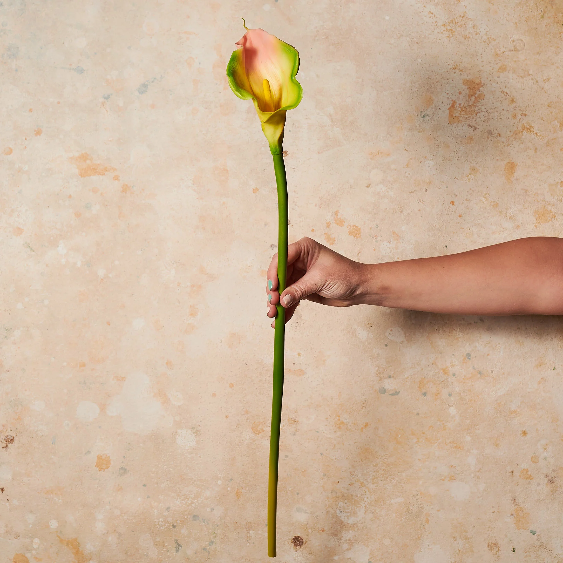 Calla Lily Real Touch Flower Stem - Image 9