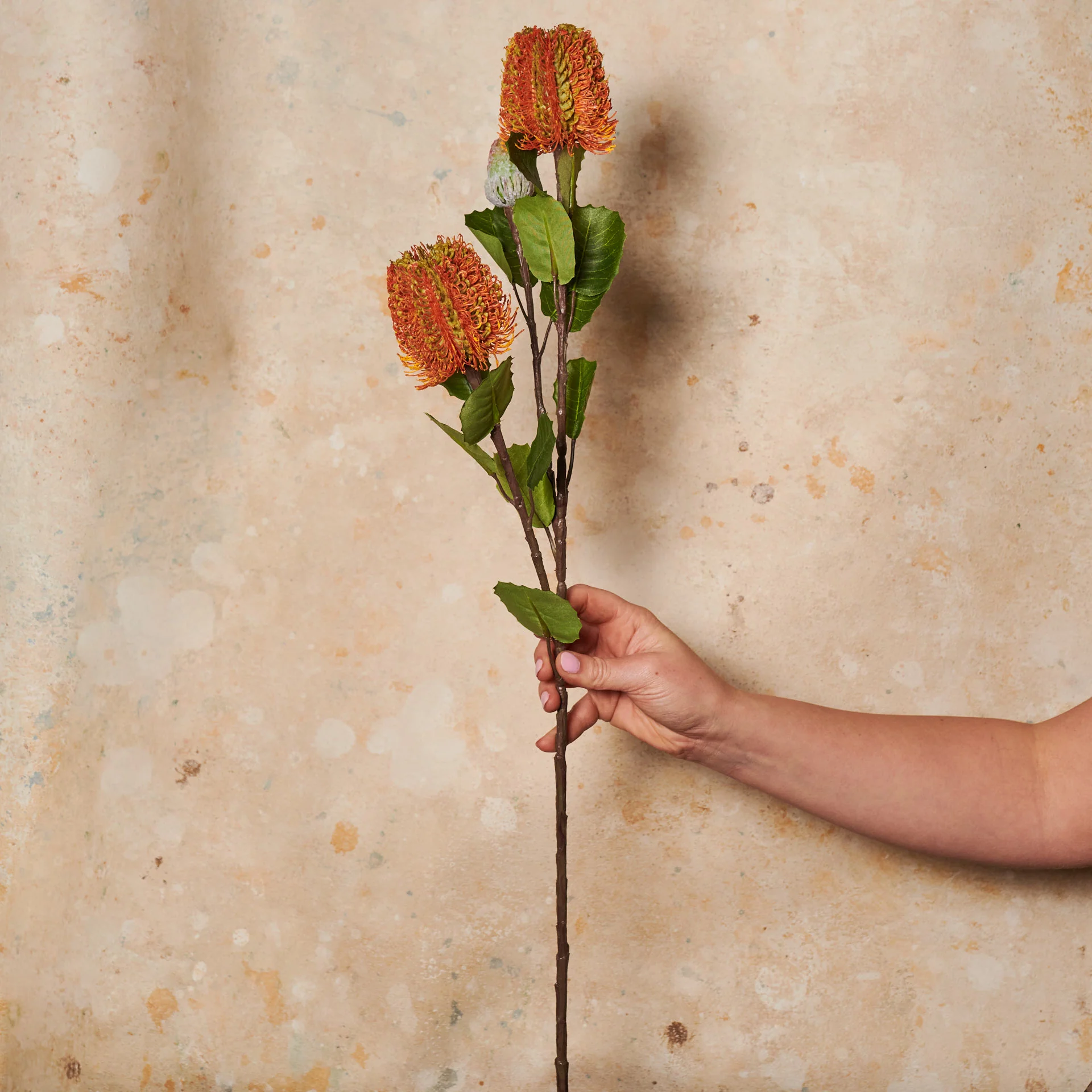 Cameron Banksia Real Touch Flower Stem - Image 3