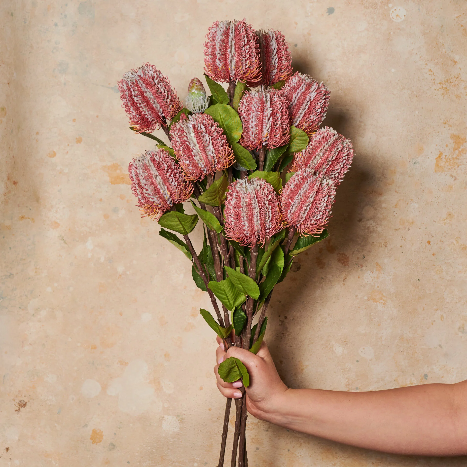 Cameron Banksia Real Touch Flower Stem - Image 4