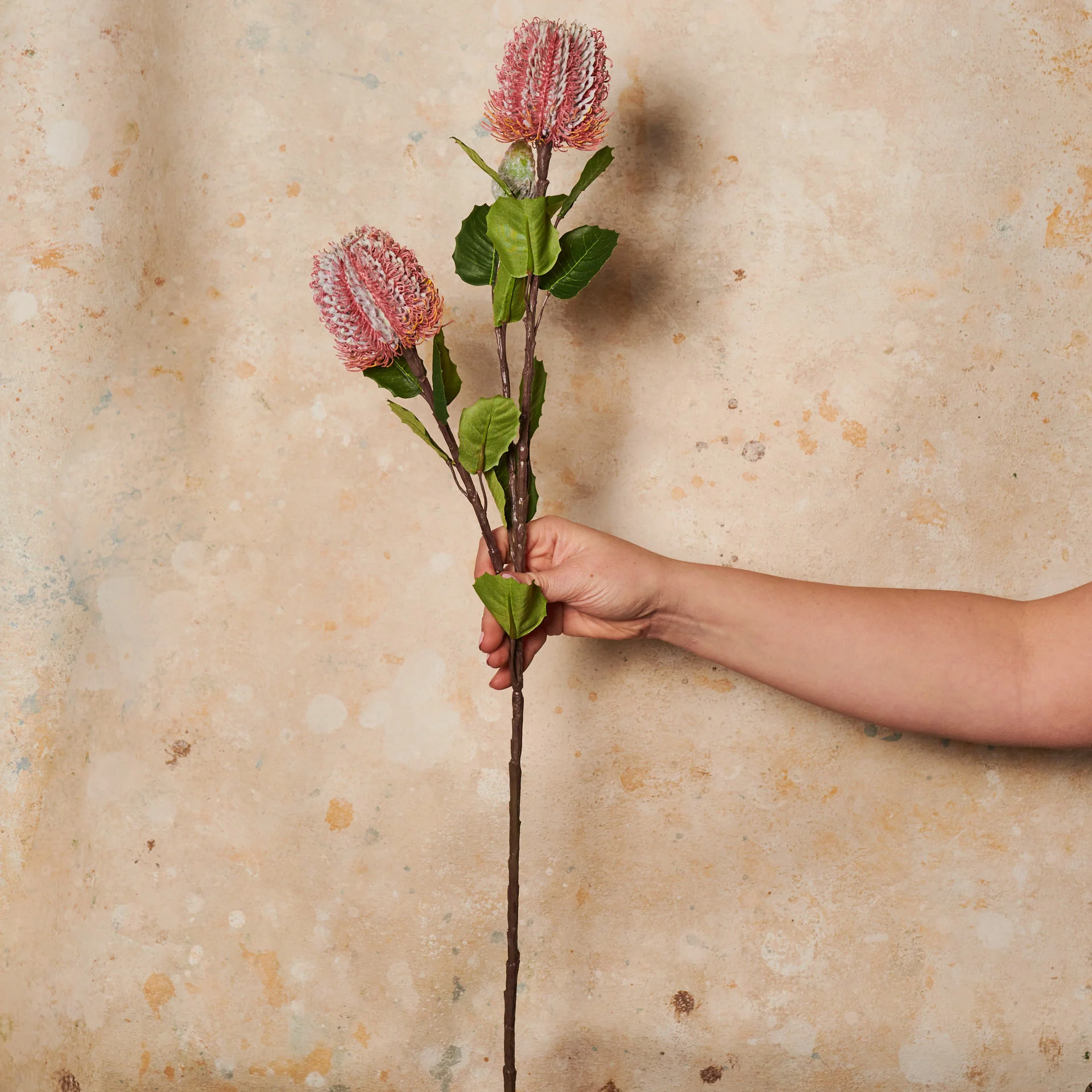 Cameron Banksia Real Touch Flower Stem - Image 5
