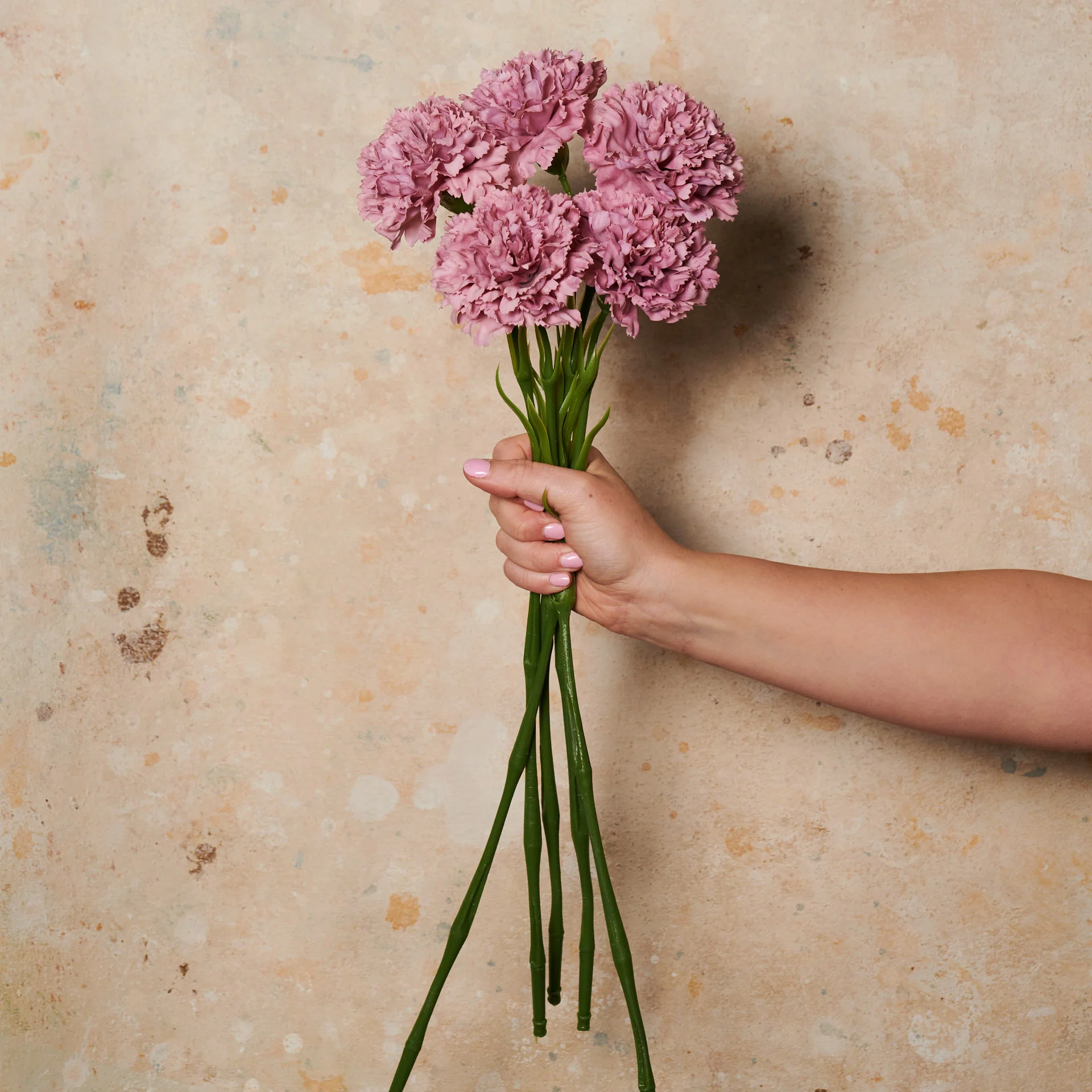 Carnation Real Touch Flower Stem - Image 3
