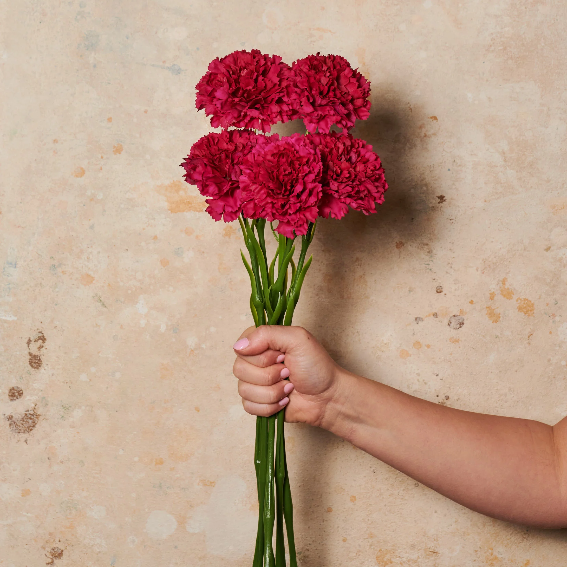 Carnation Real Touch Flower Stem - Image 5