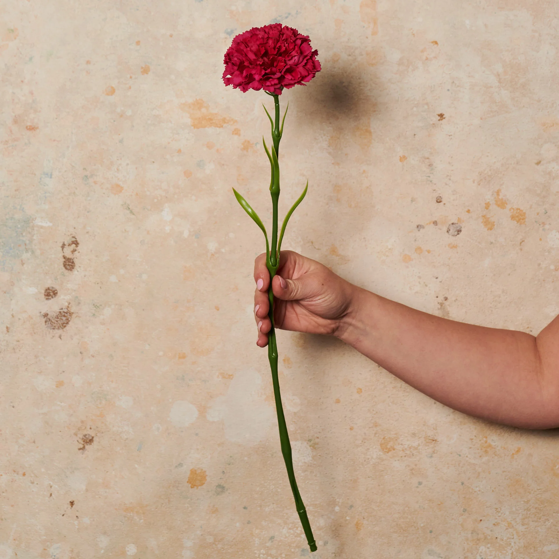 Carnation Real Touch Flower Stem - Image 6