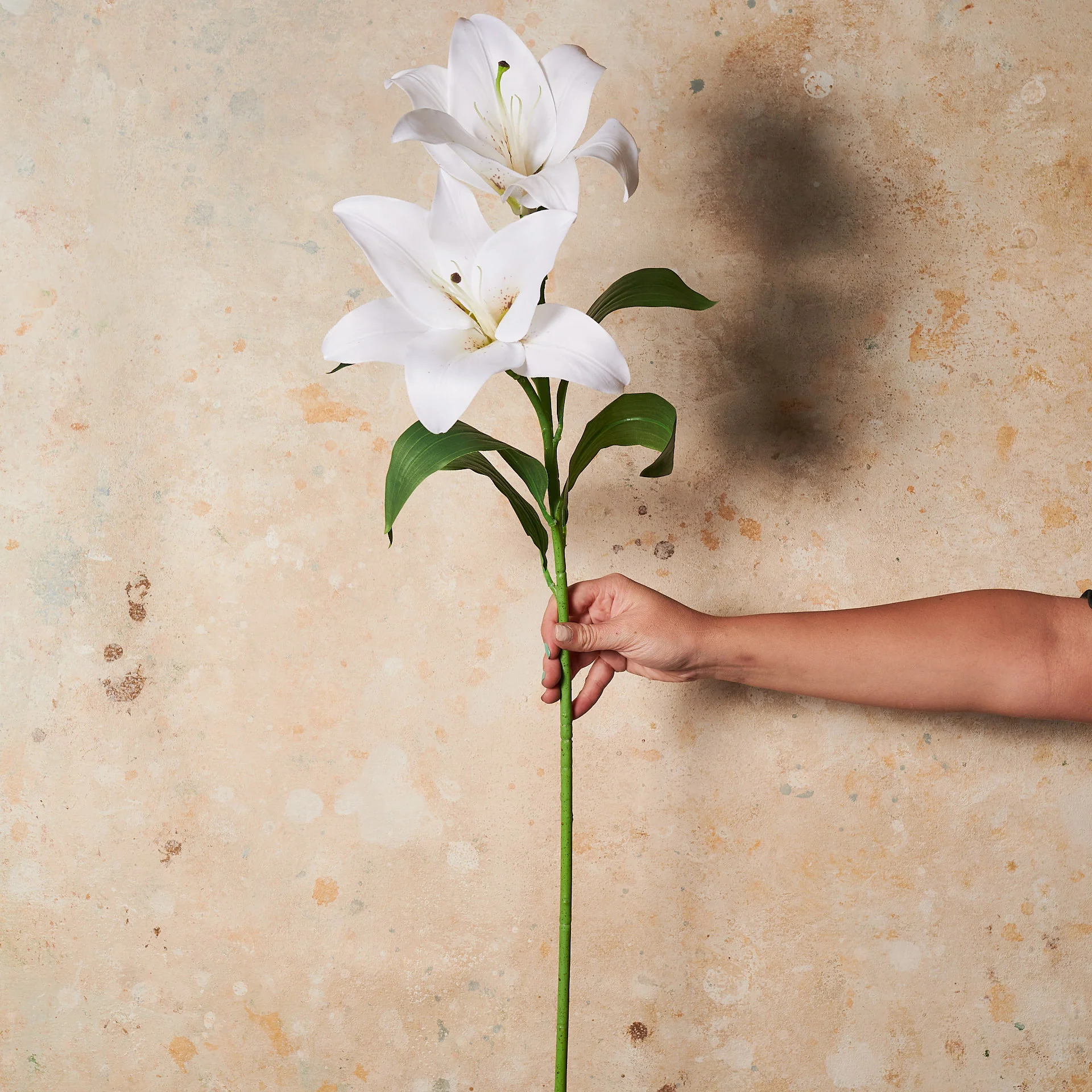 Casablanca Lily Real Touch Flower Stem - Image 4