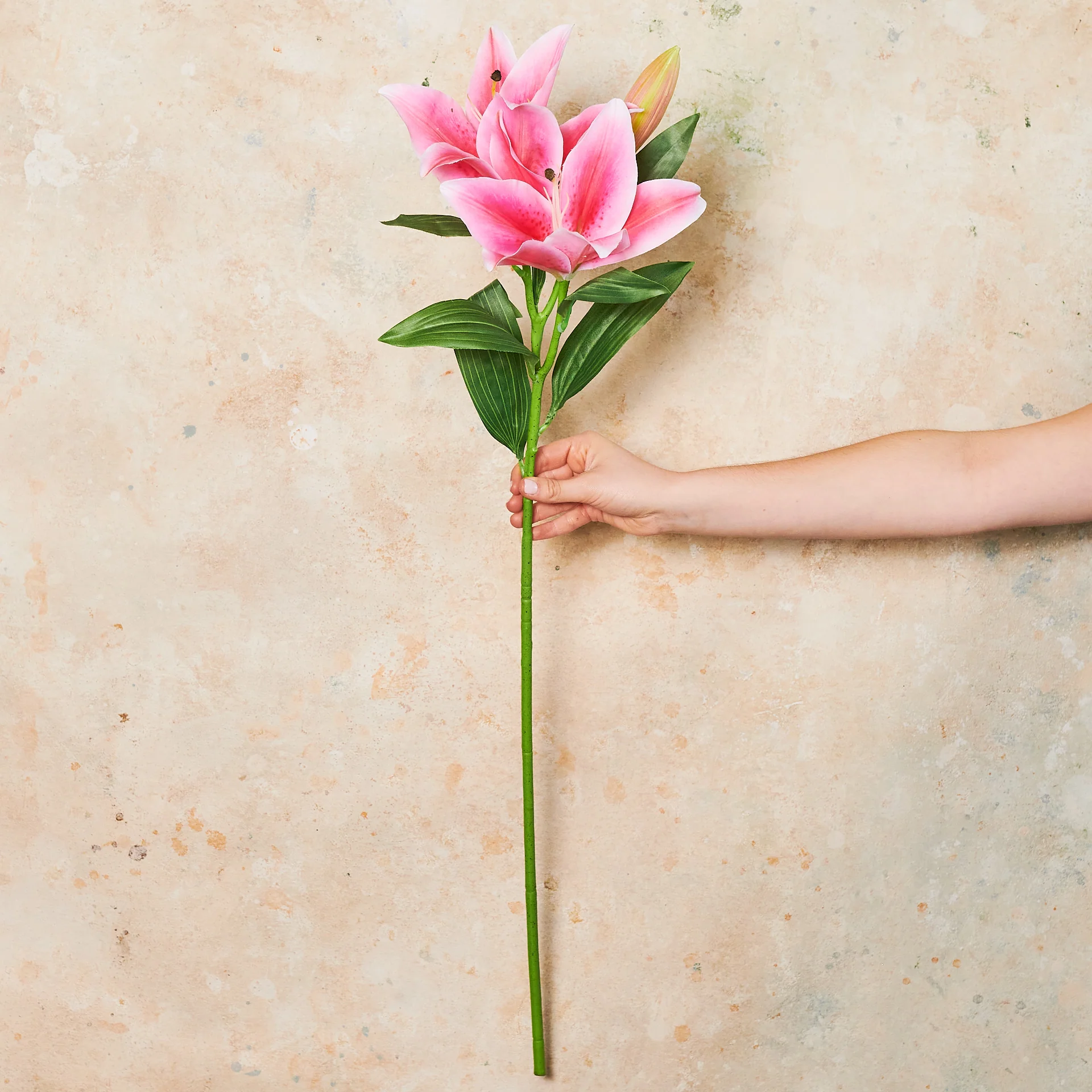 Casablanca Lily Real Touch Flower Stem - Image 6