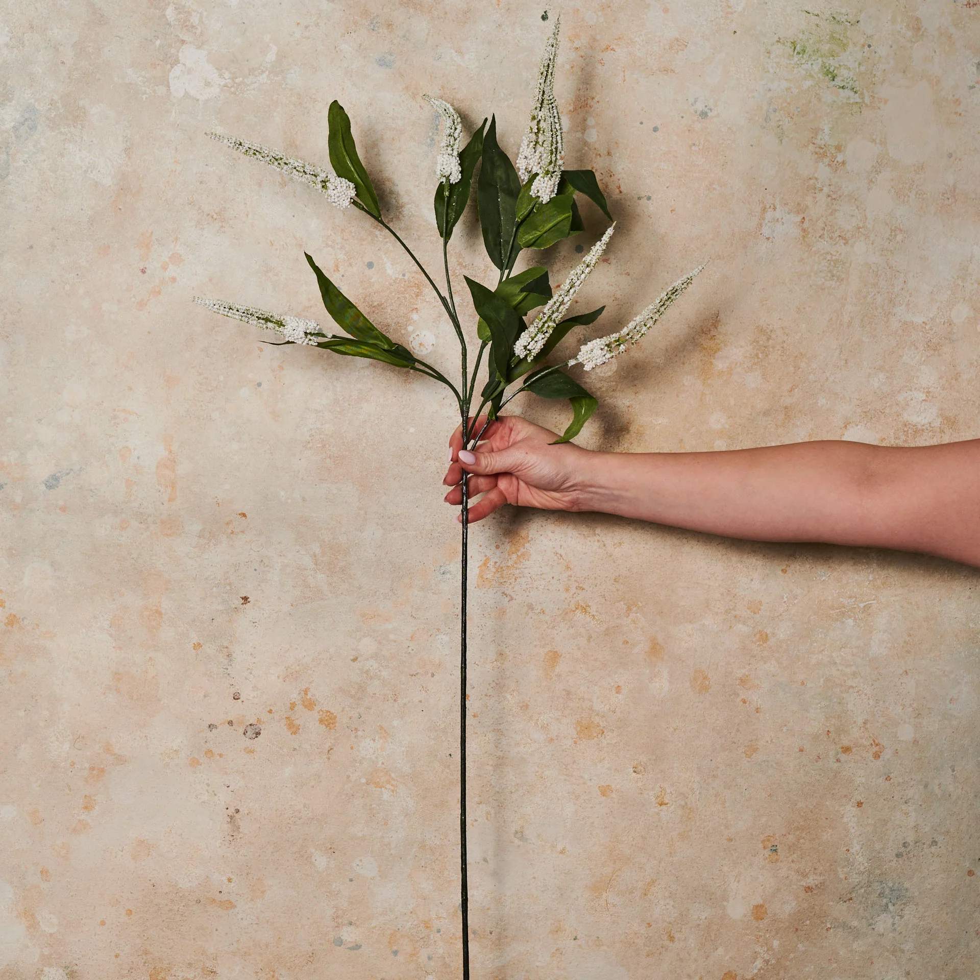 Cascara Berry Spray Real Touch Stem - Image 4