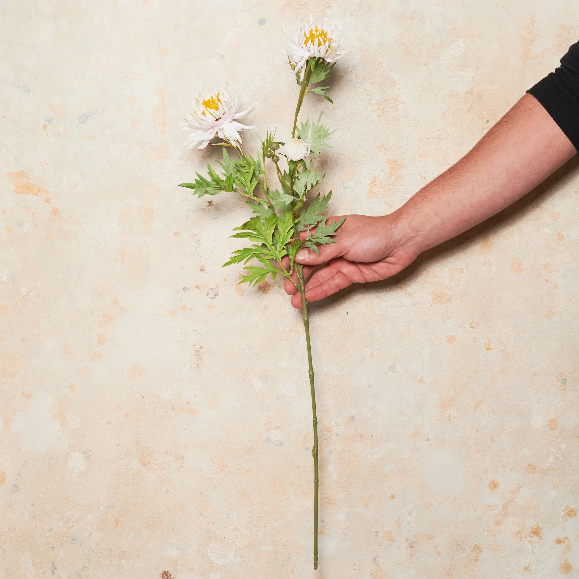 Chrysanthemum Real Touch Flower Stem - Image 2