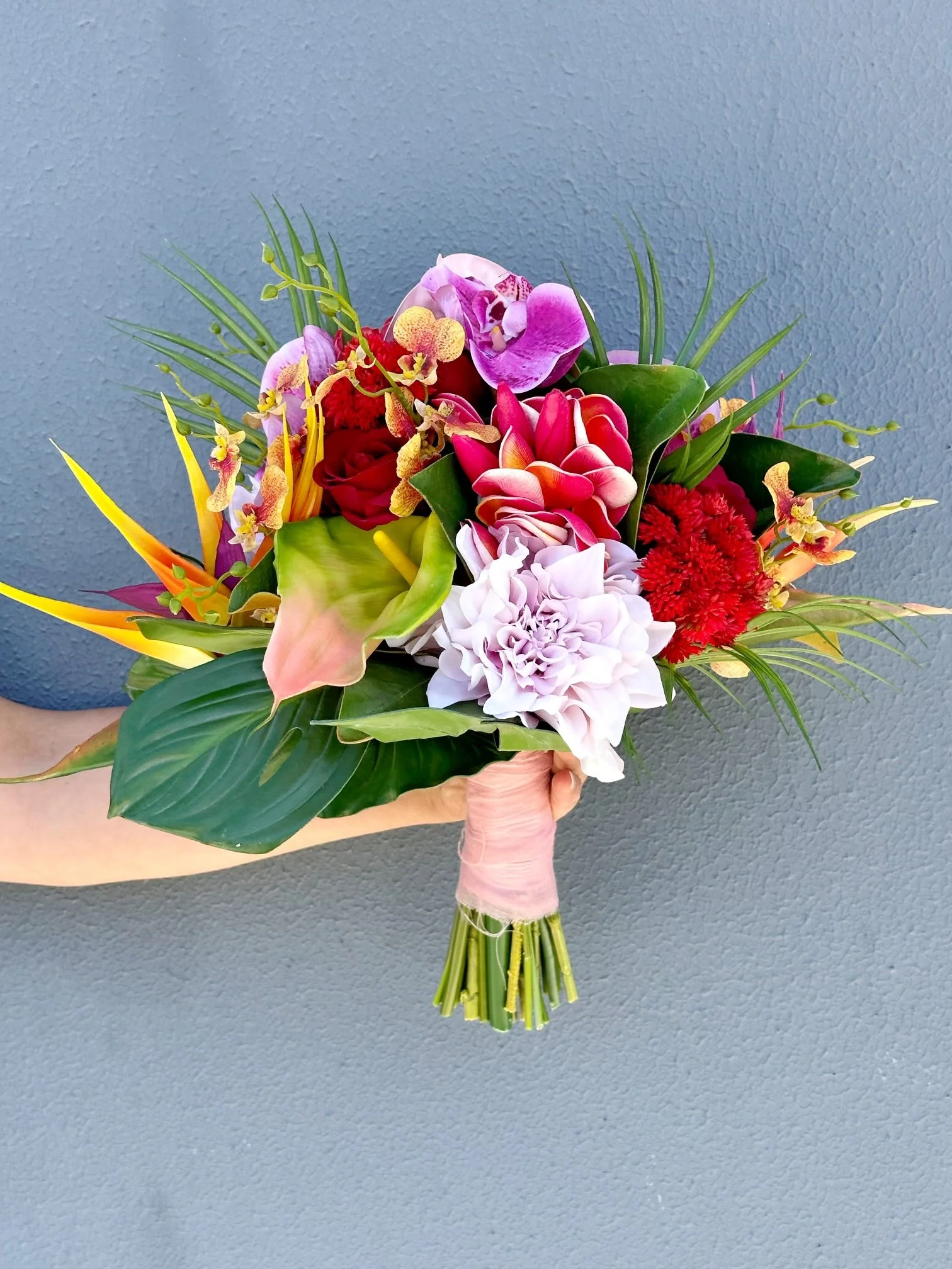 Classic Package - Image 13