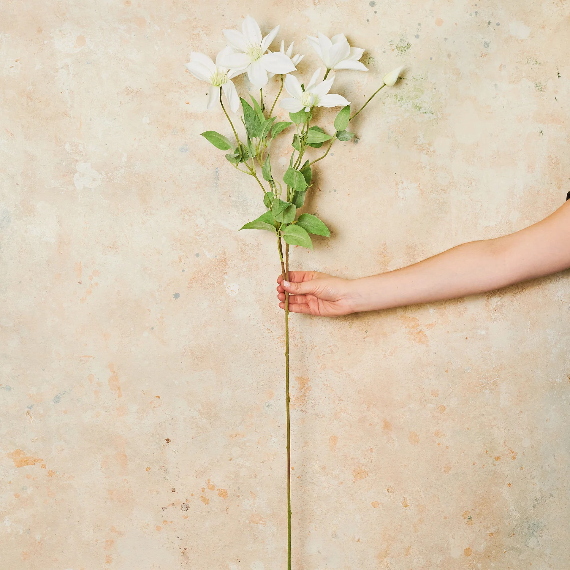 Clematis Real Touch Flower Stem - Image 5