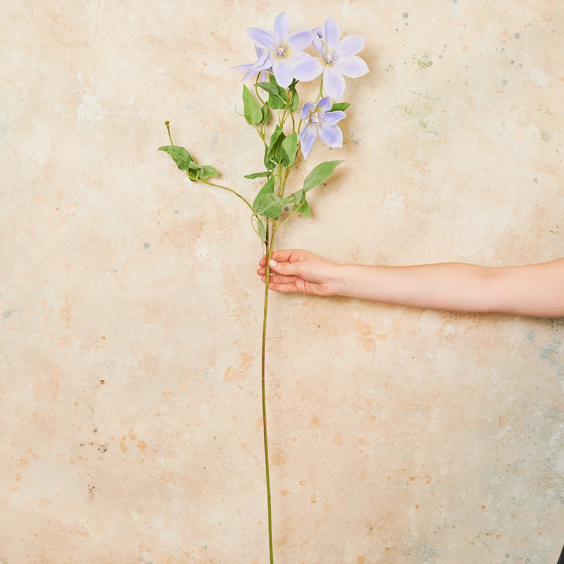 Clematis Real Touch Flower Stem - Image 6