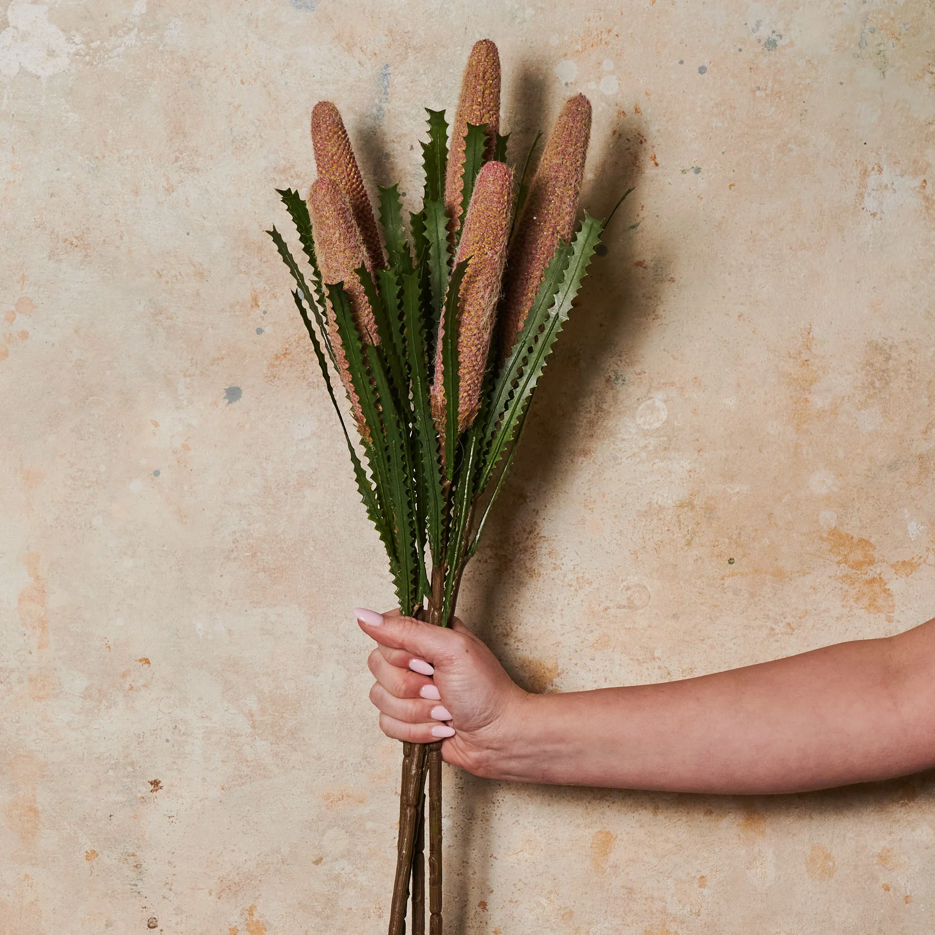 Cone Banksia Real Touch Flower Stem - Image 2