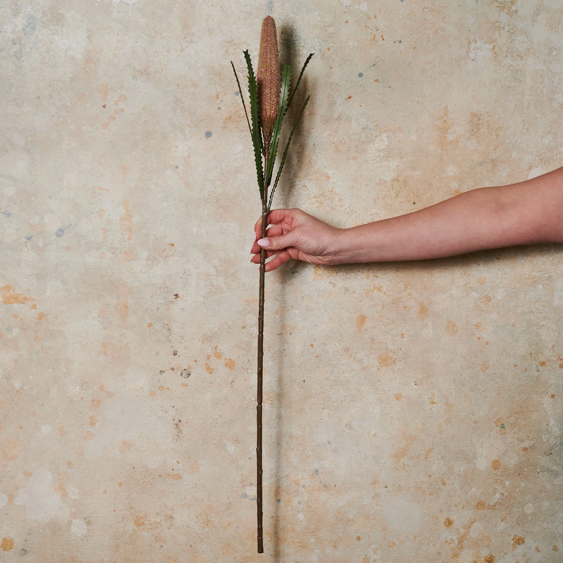 Cone Banksia Real Touch Flower Stem - Image 3