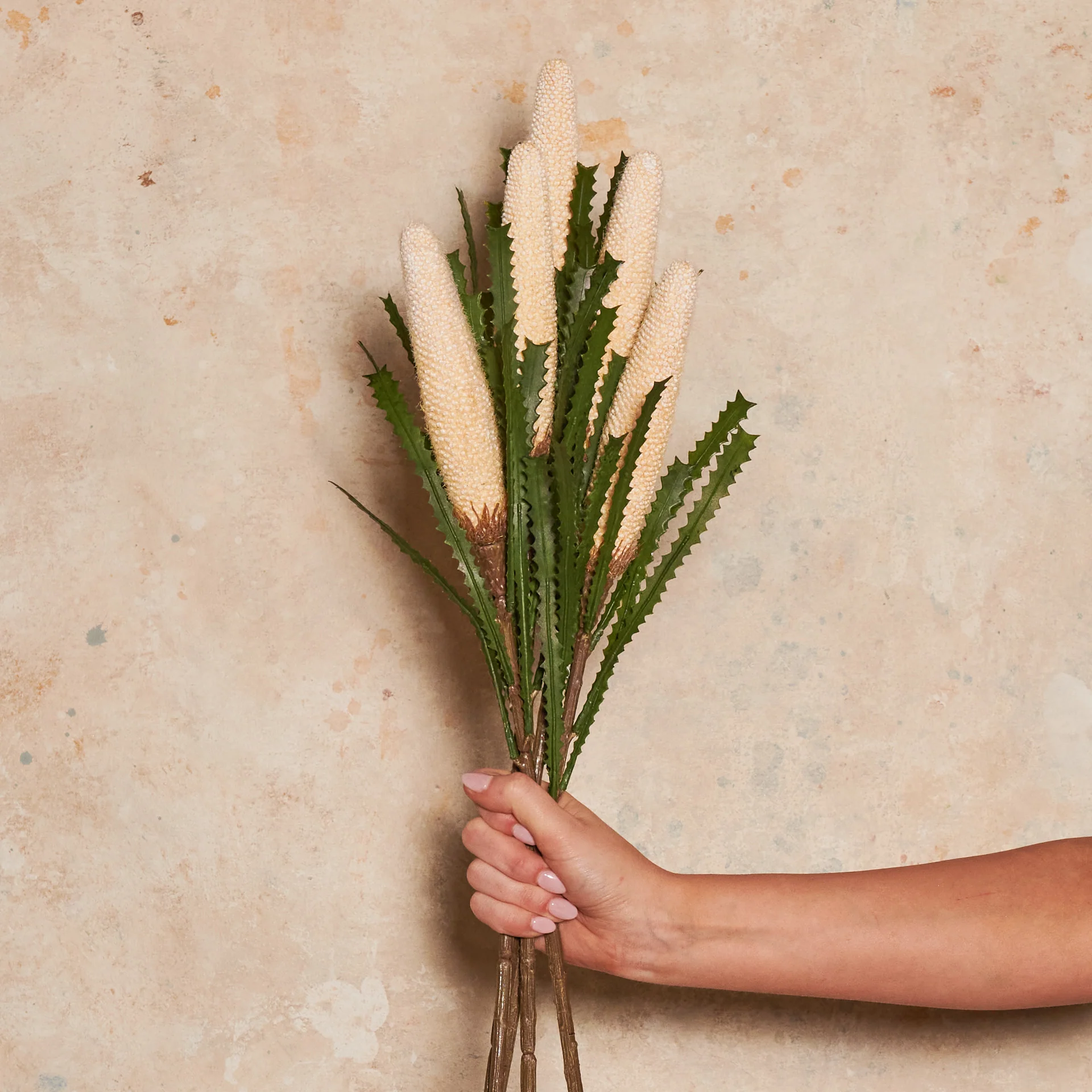 Cone Banksia Real Touch Flower Stem - Image 4