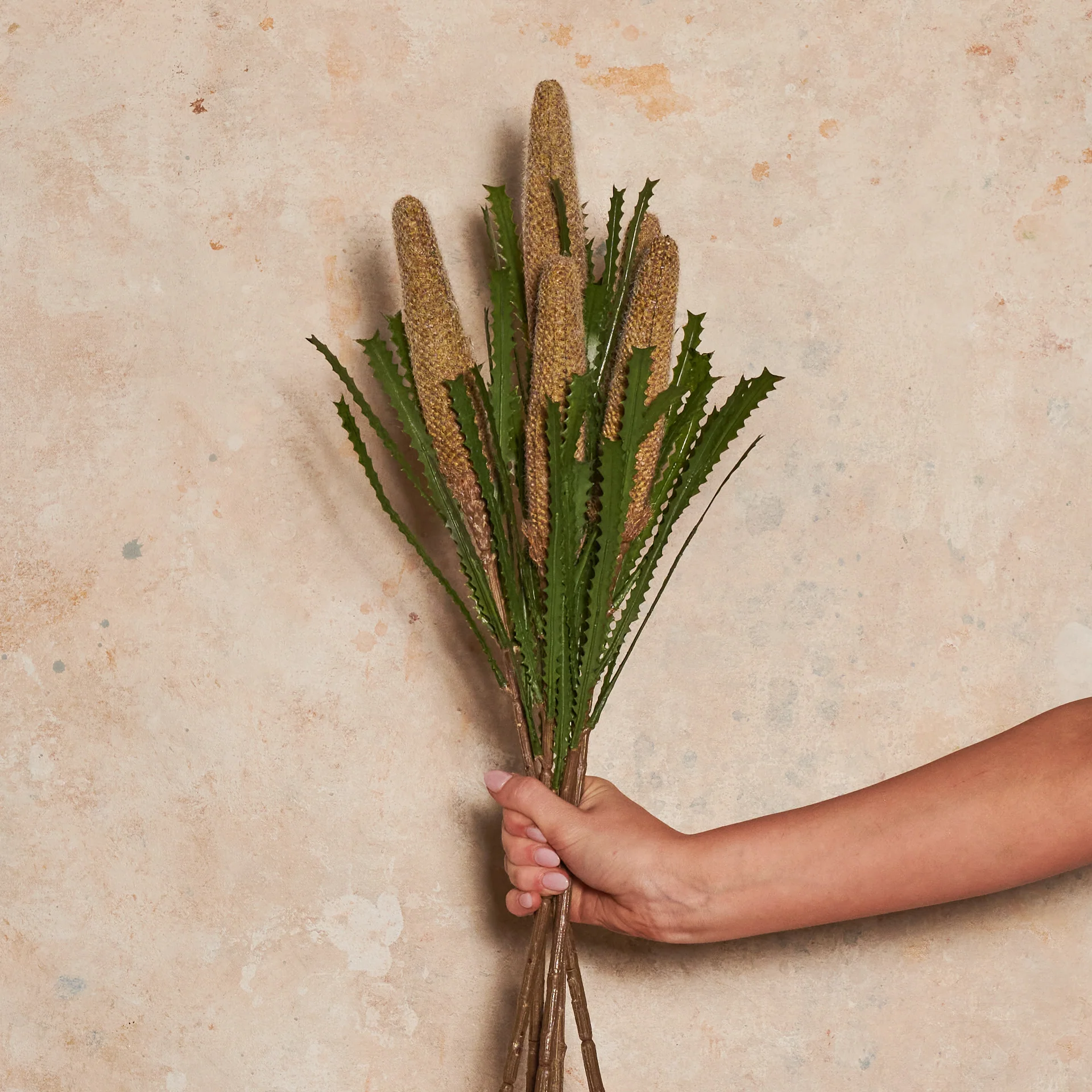 Cone Banksia Real Touch Flower Stem - Image 6