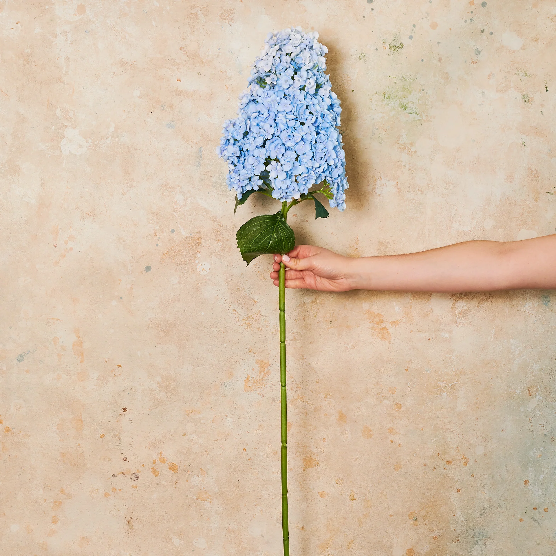 Cone Hydrangea Real Touch Flower Stem - Image 10