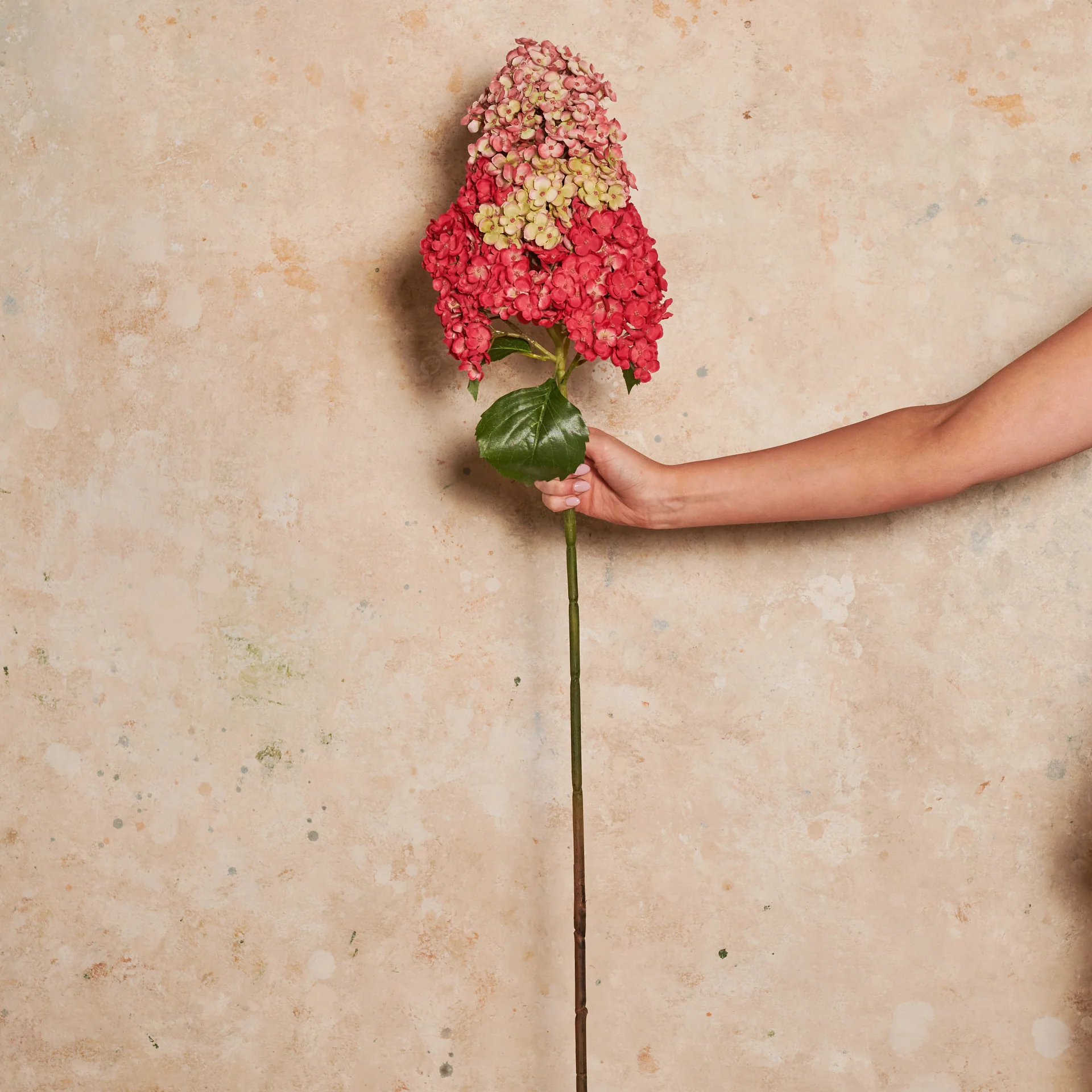 Cone Hydrangea Real Touch Flower Stem - Image 13