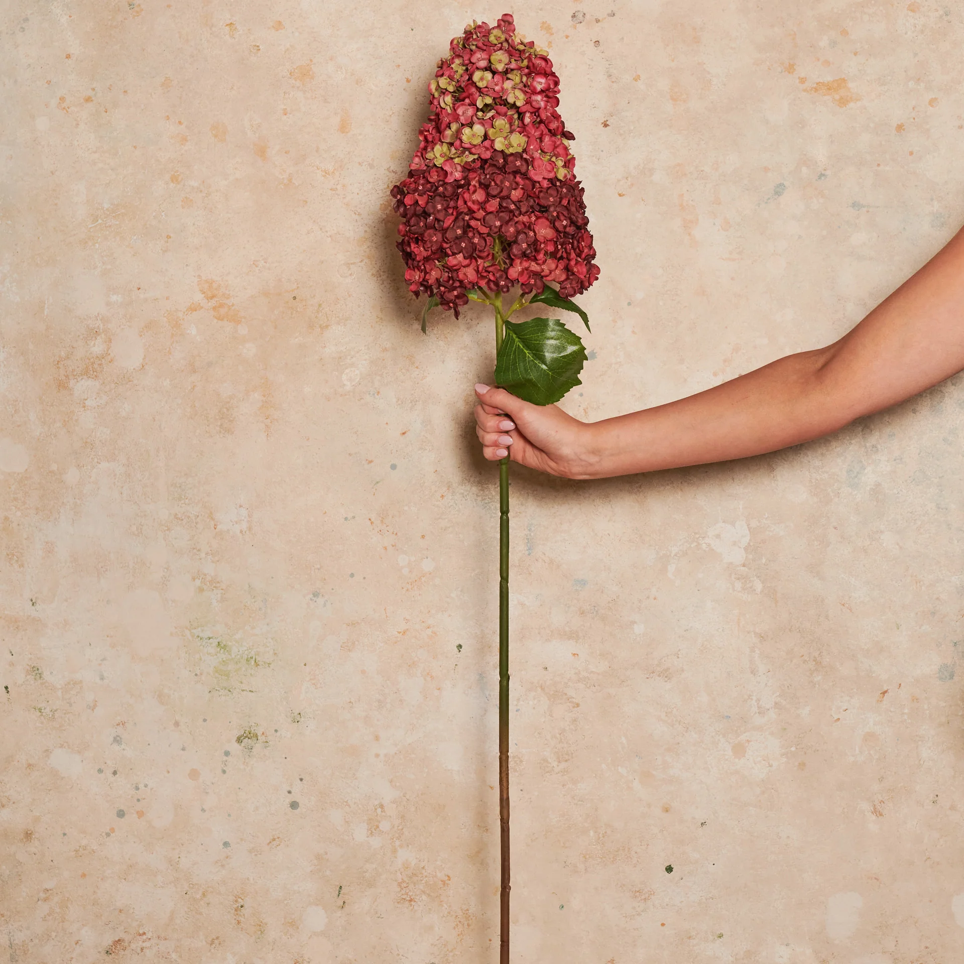 Cone Hydrangea Real Touch Flower Stem - Image 15