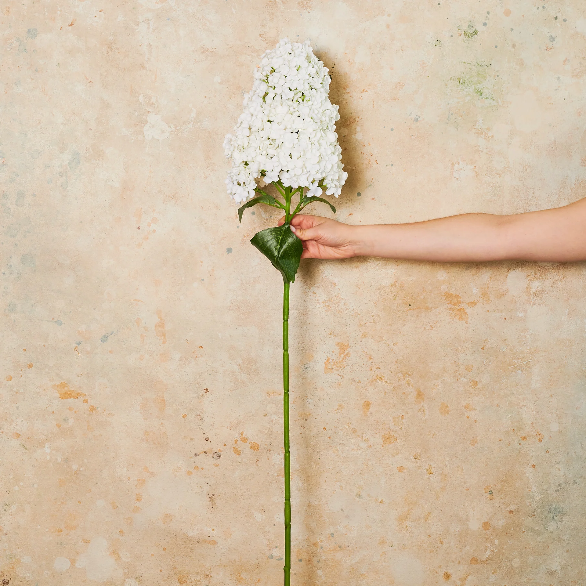 Cone Hydrangea Real Touch Flower Stem - Image 3