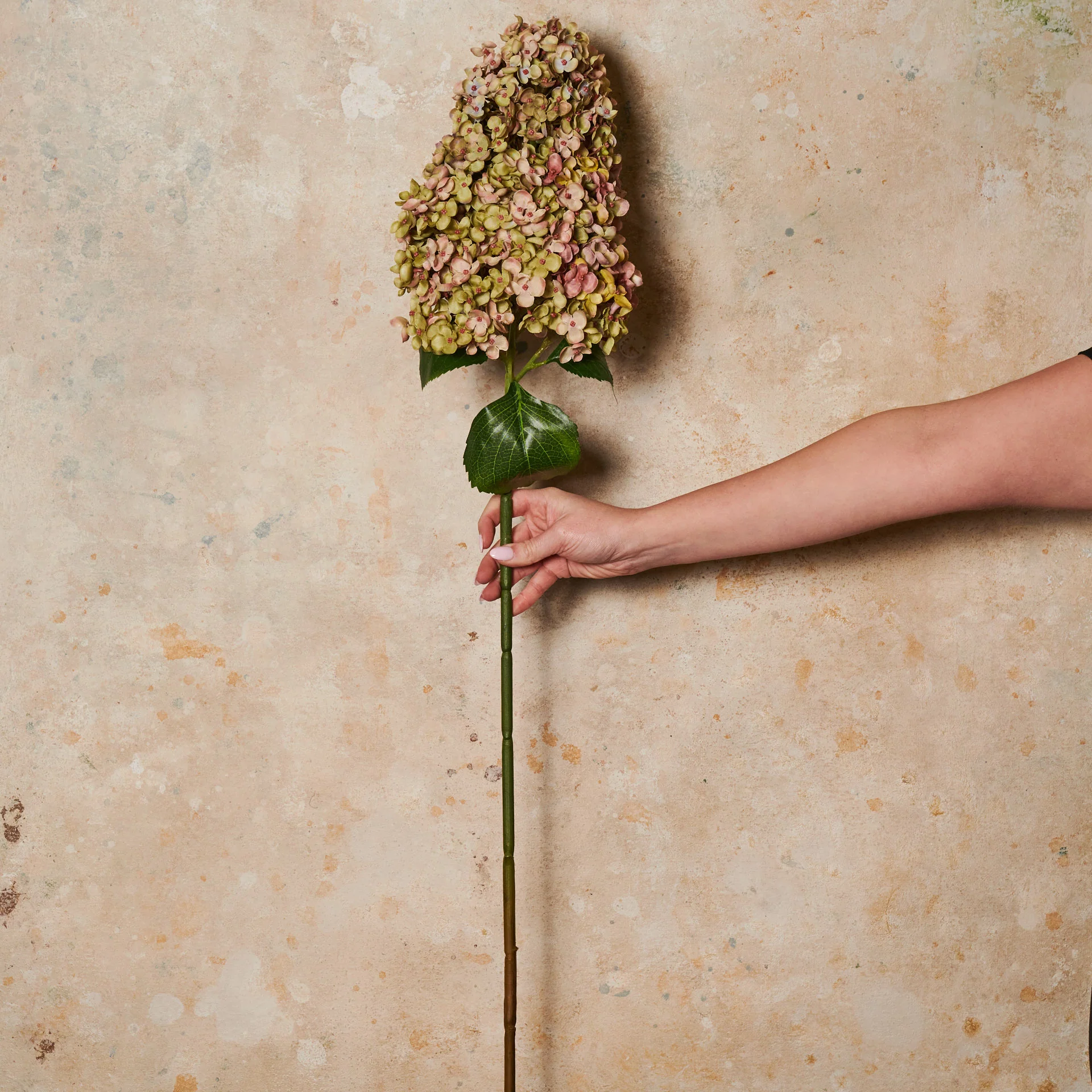 Cone Hydrangea Real Touch Flower Stem - Image 5