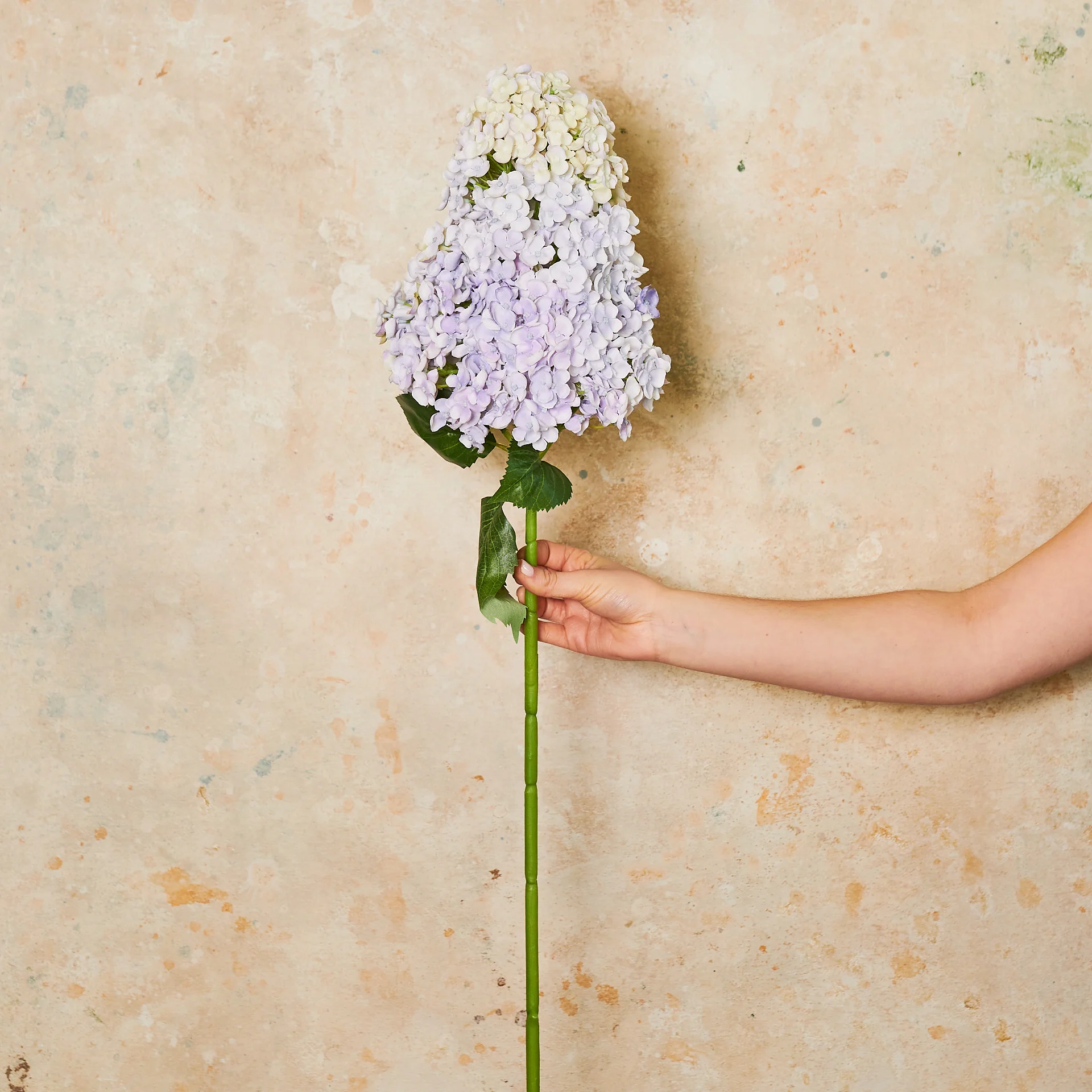 Cone Hydrangea Real Touch Flower Stem - Image 7