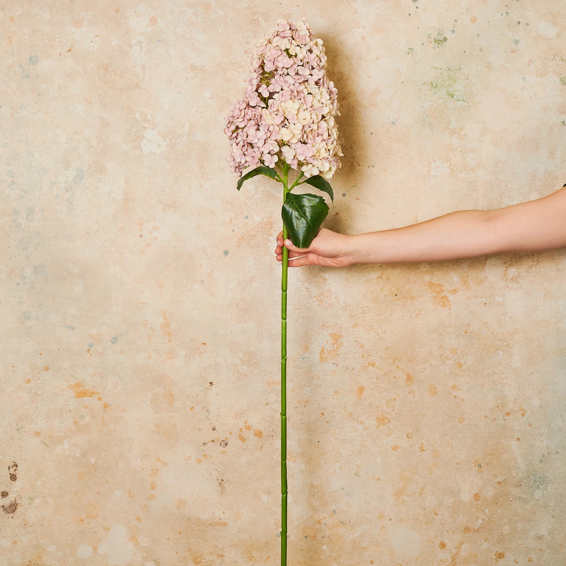 Cone Hydrangea Real Touch Flower Stem - Image 8