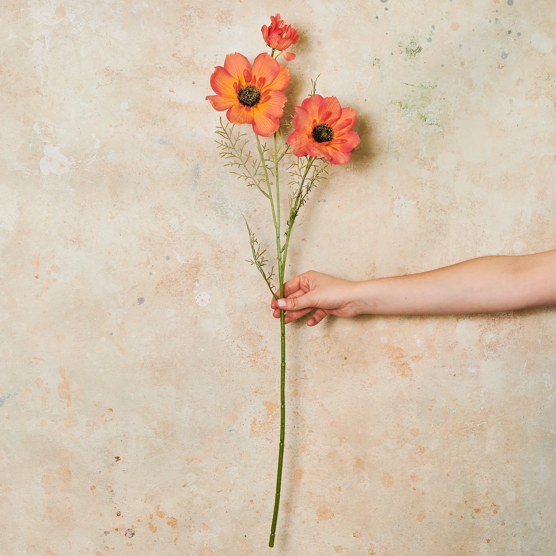 Coreopsis Real Touch Flower Stem - Image 10