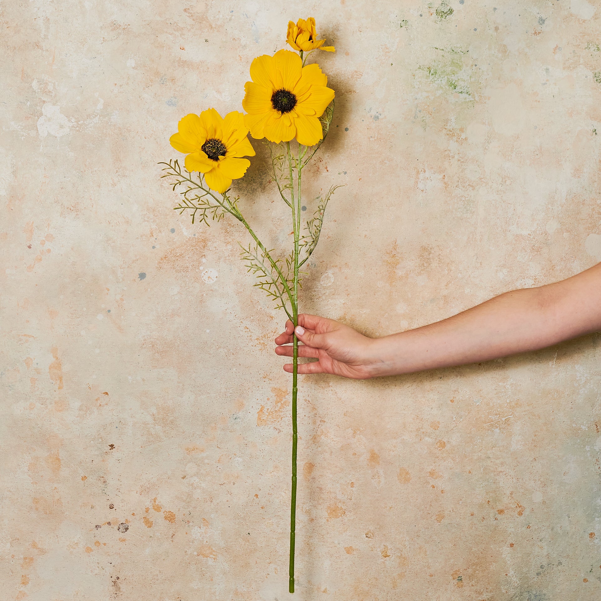 Coreopsis Real Touch Flower Stem - Image 4