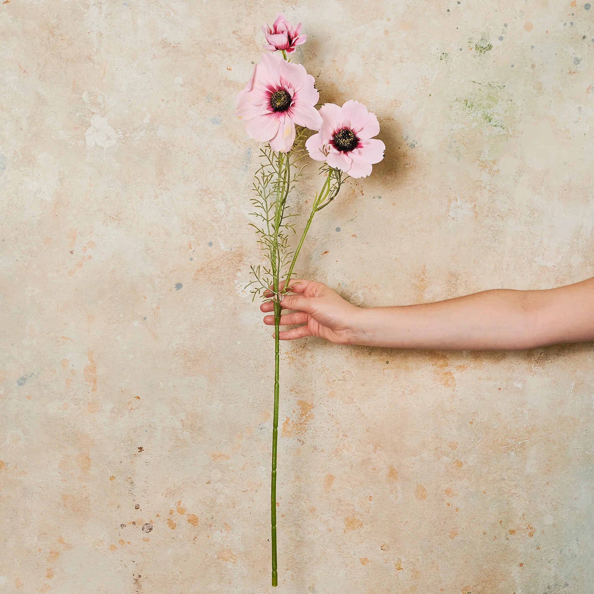 Coreopsis Real Touch Flower Stem - Image 8