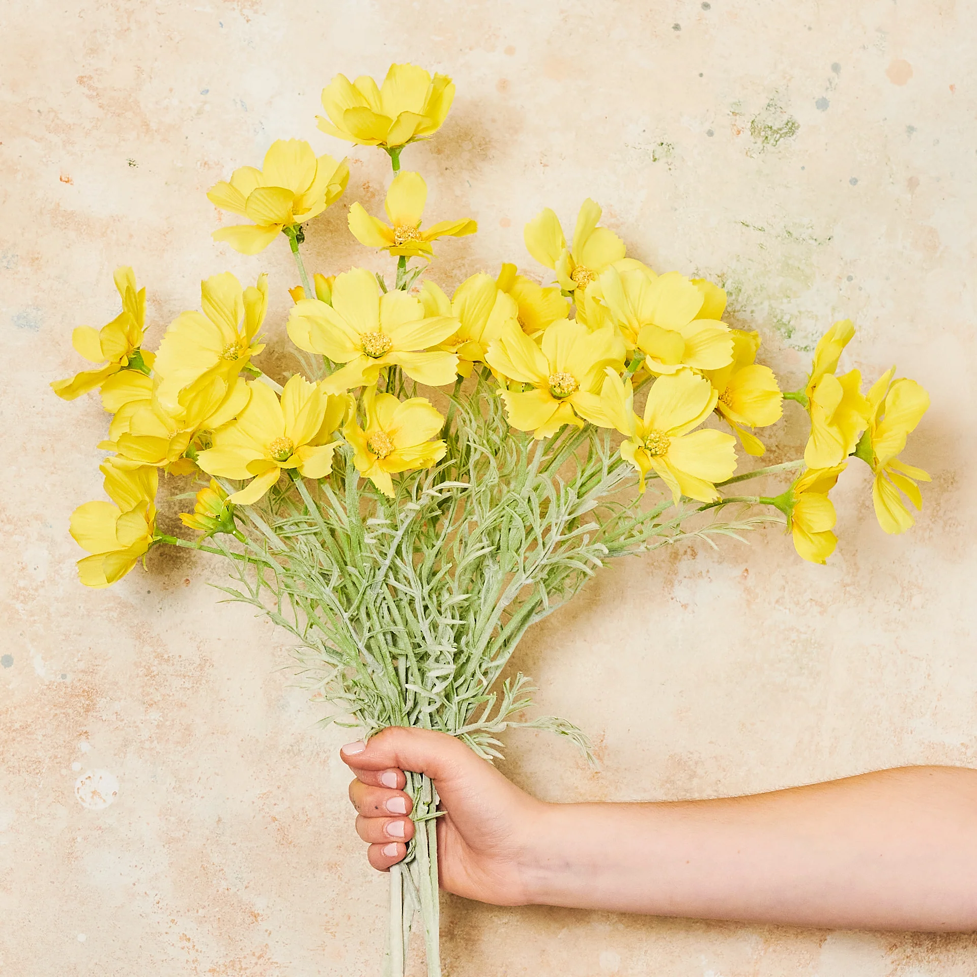 Cosmo Long Flower Stem - Image 3