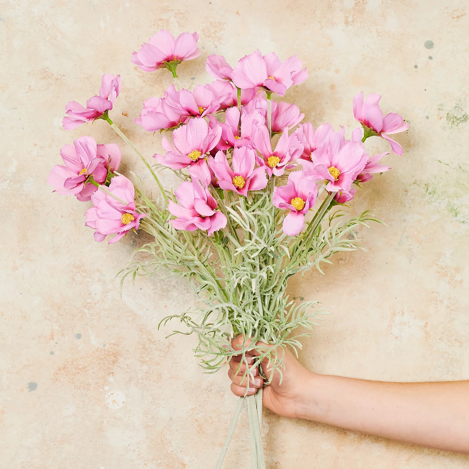 Cosmo Long Flower Stem - Image 7