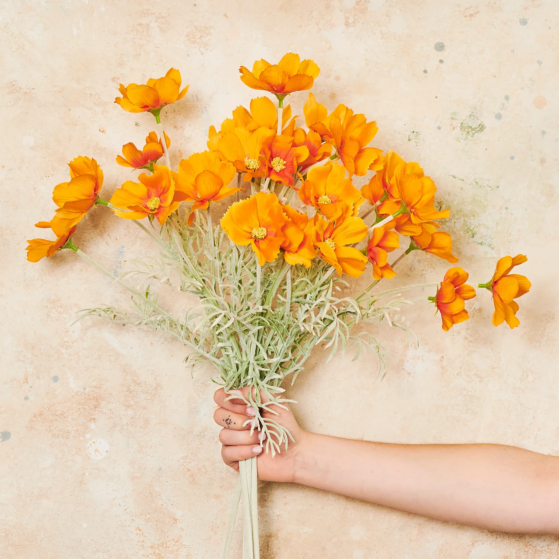 Cosmo Long Flower Stem - Image 9