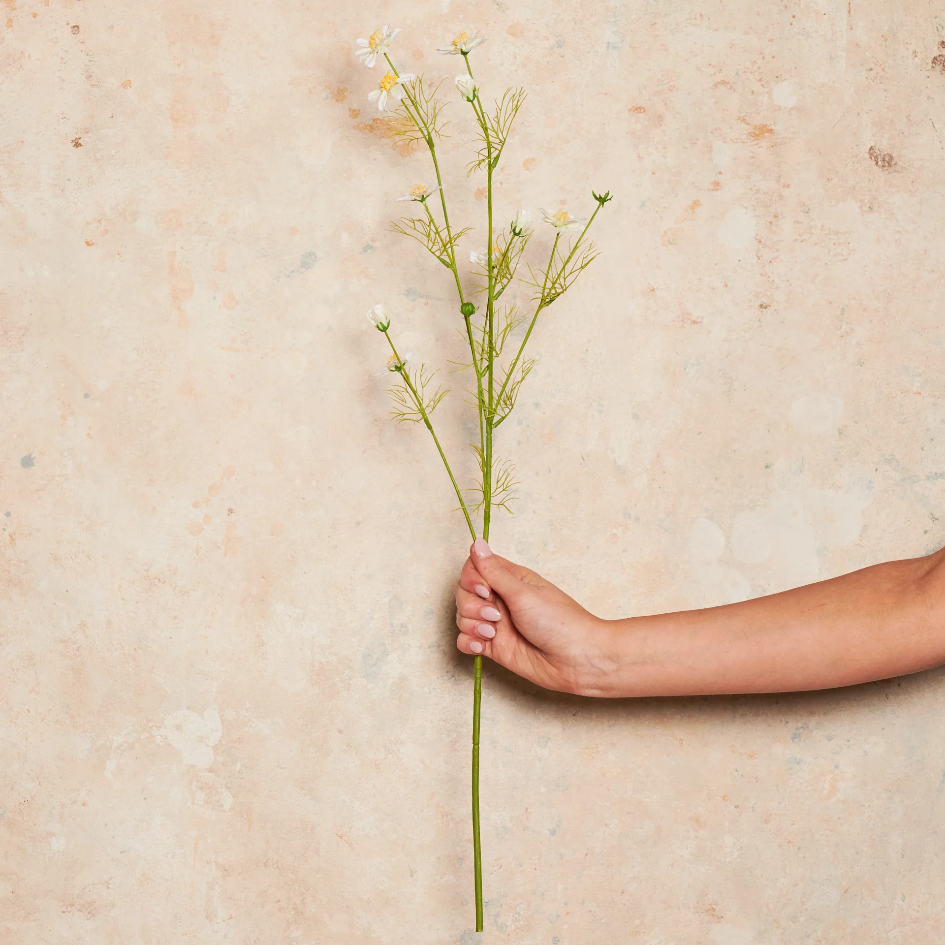 Cosmo Mini Real Touch Flower Stem - Image 5