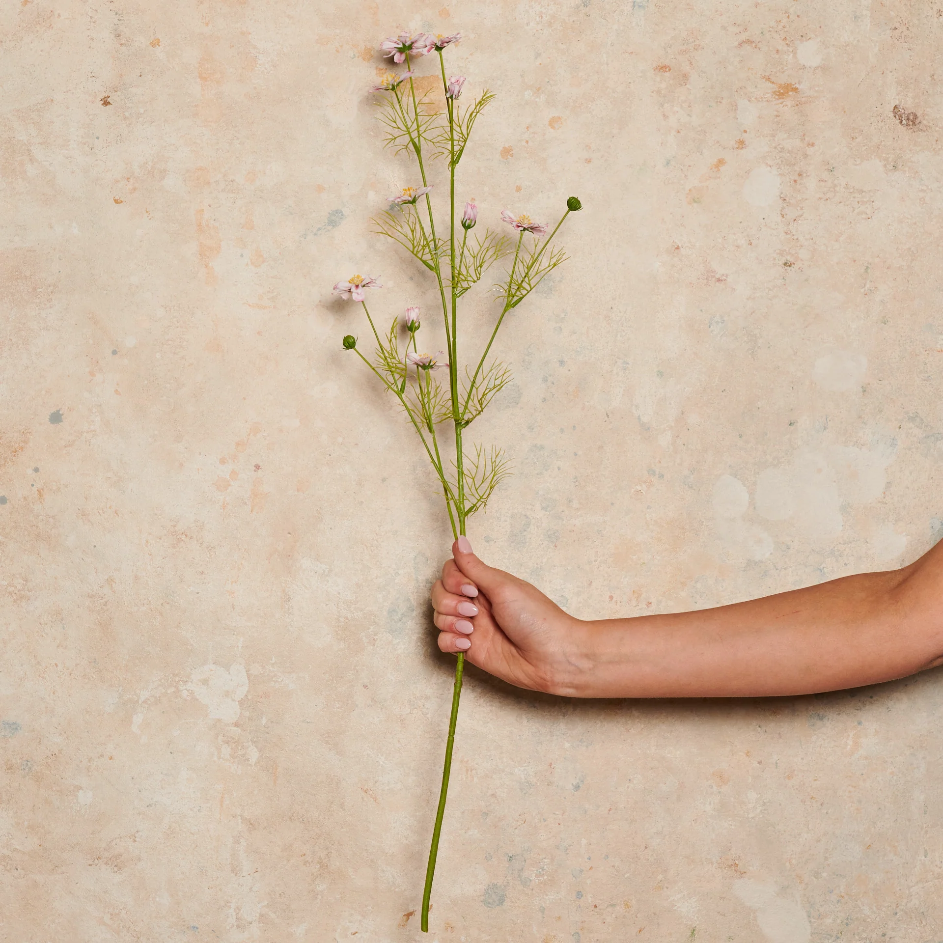 Cosmo Mini Real Touch Flower Stem - Image 7