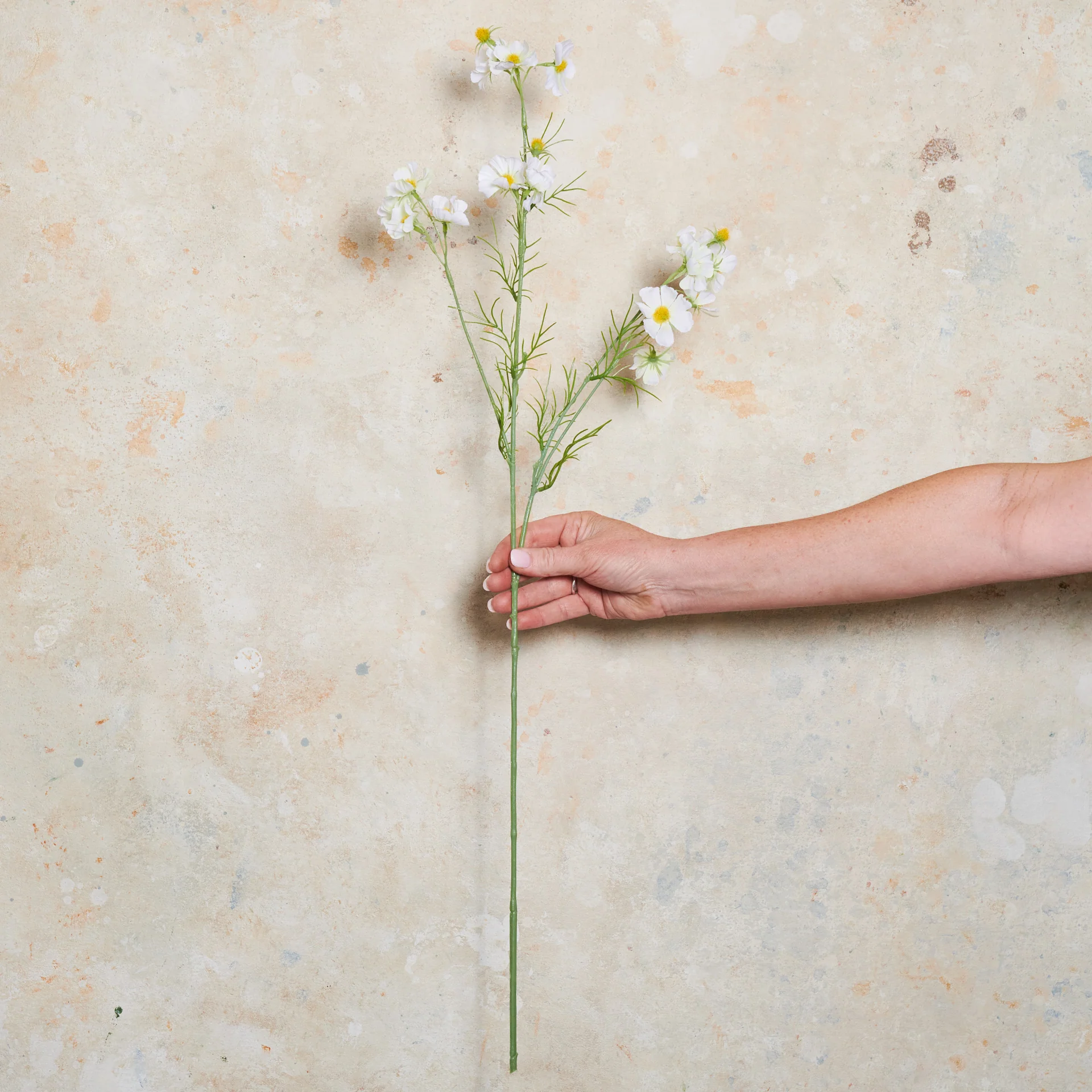 Cosmo Spray Real Touch Flower Stem - Image 11