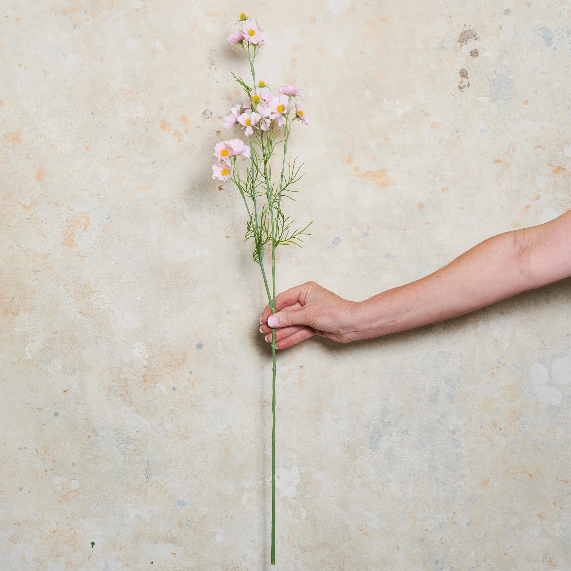 Cosmo Spray Real Touch Flower Stem - Image 2