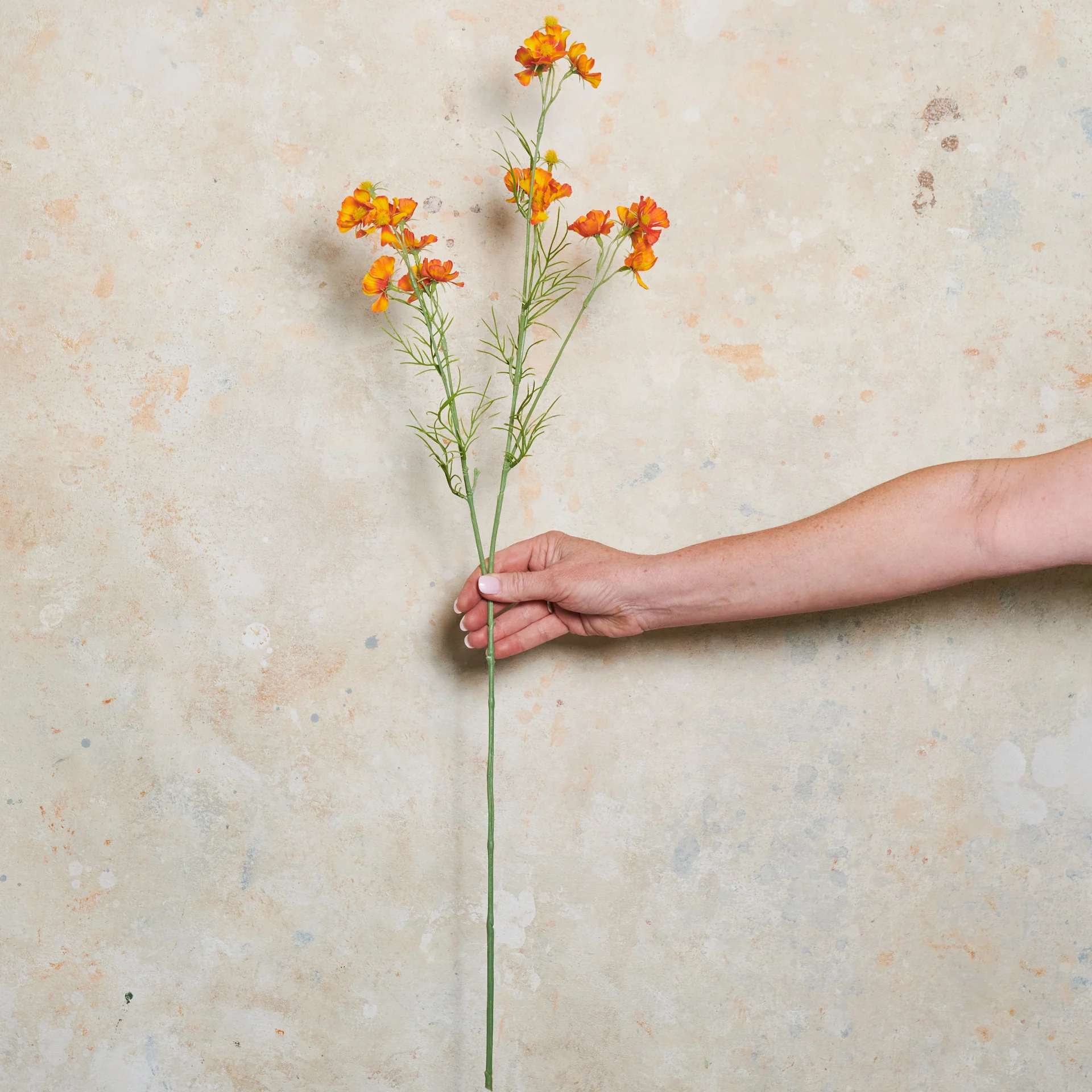 Cosmo Spray Real Touch Flower Stem - Image 4