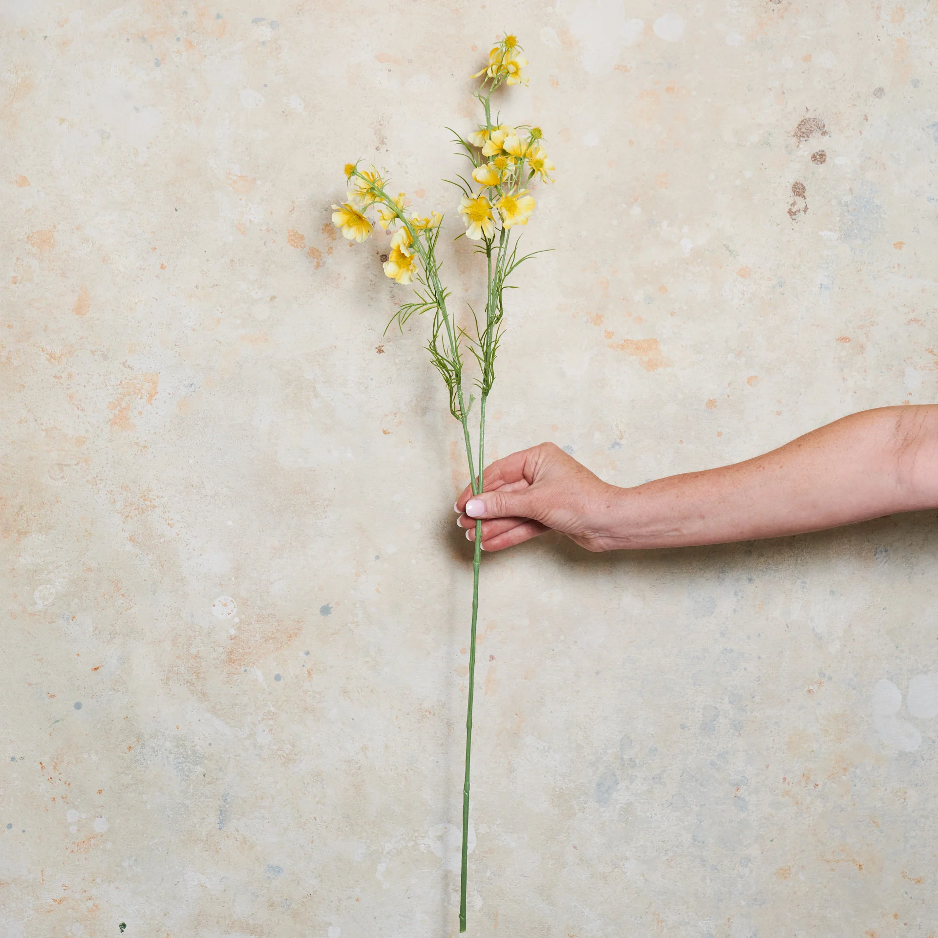 Cosmo Spray Real Touch Flower Stem - Image 6